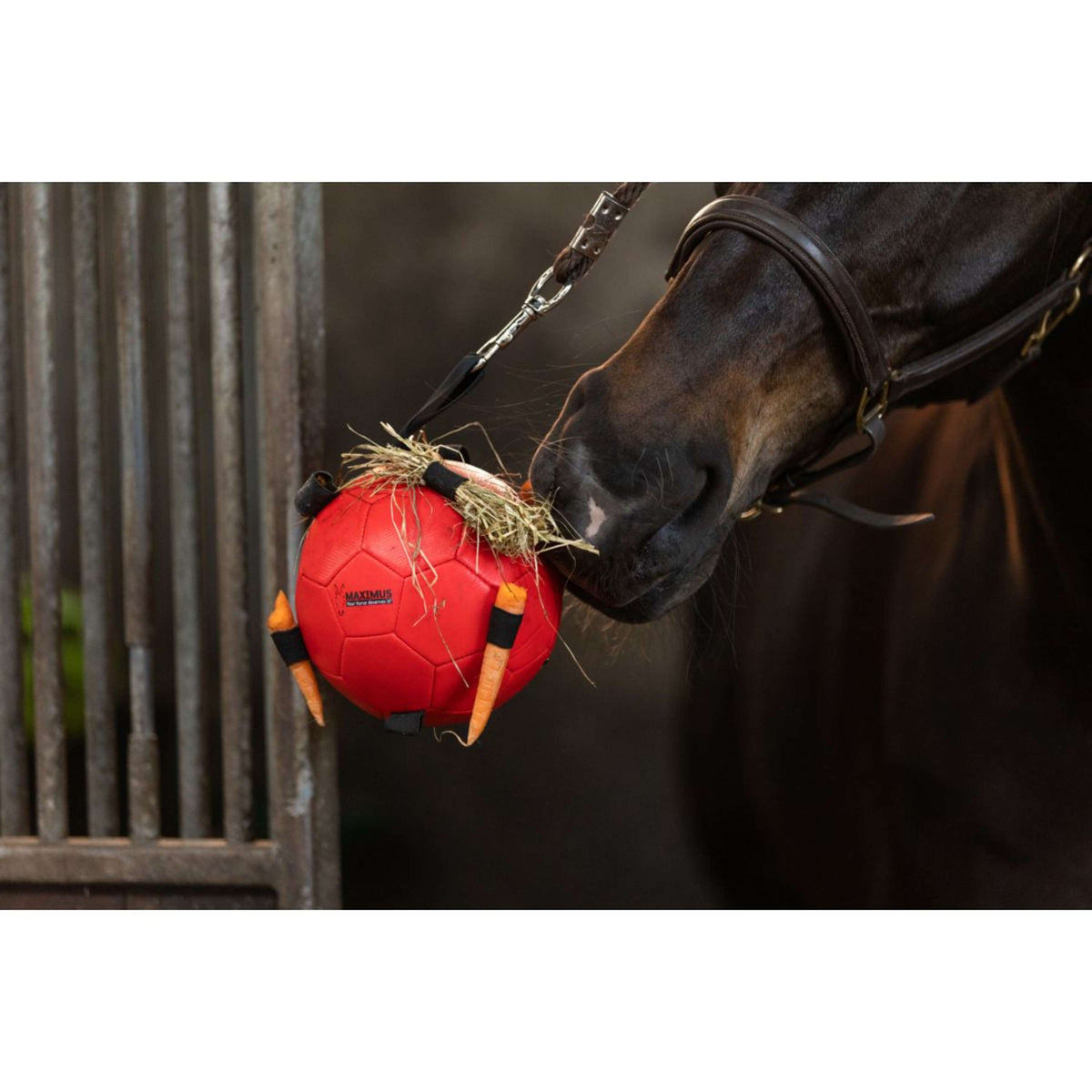 Maximus Ball Fun Play Red