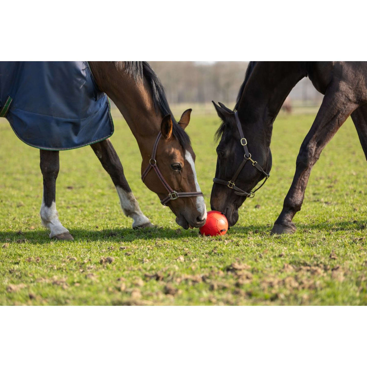 Maximus Ball Fun Play Green