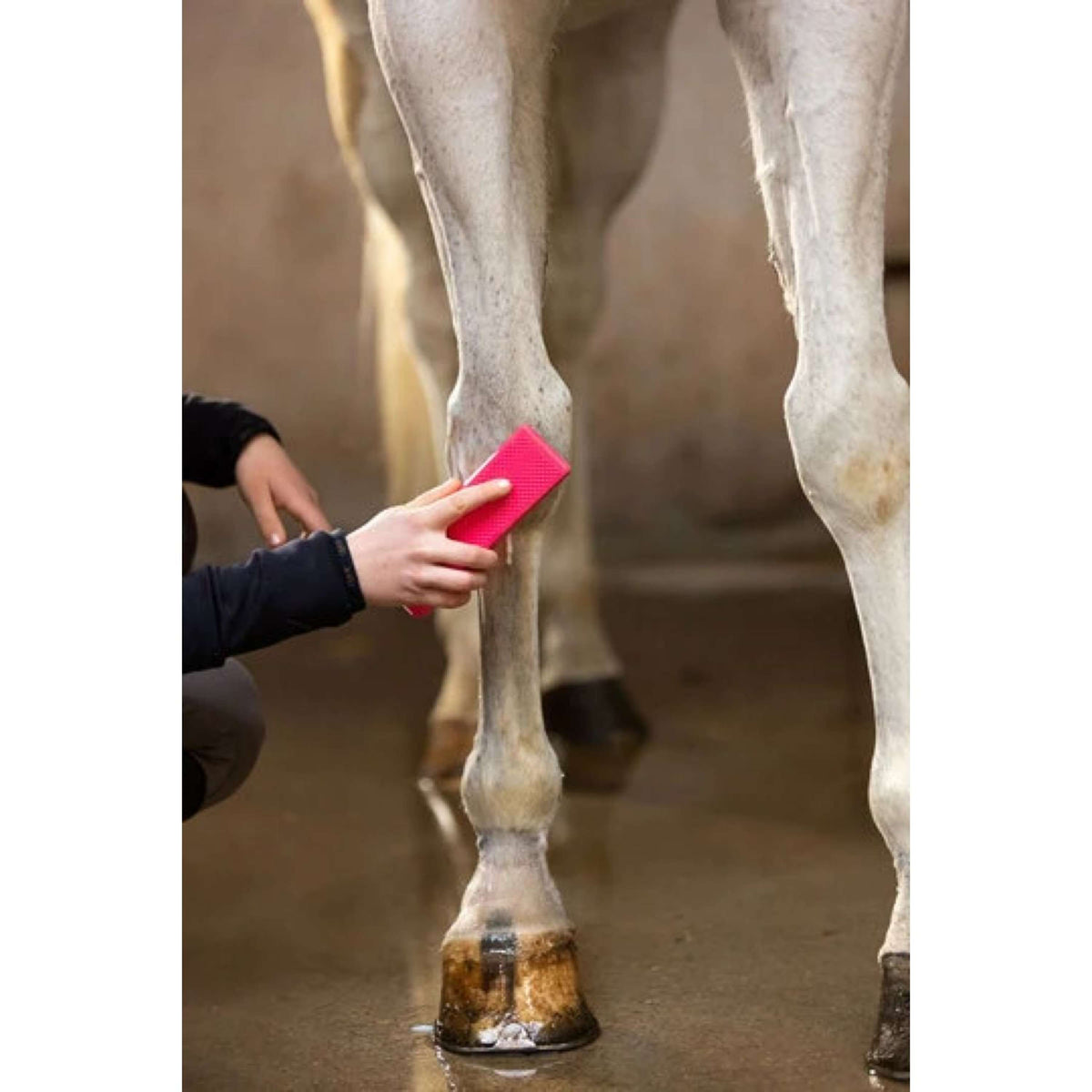 Paardenpraat Grooming Brush Pink