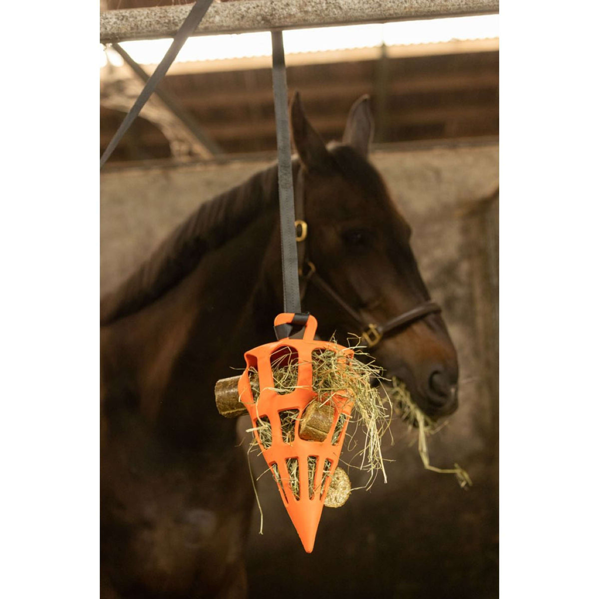 Lax Hay/Vegetable nibble block