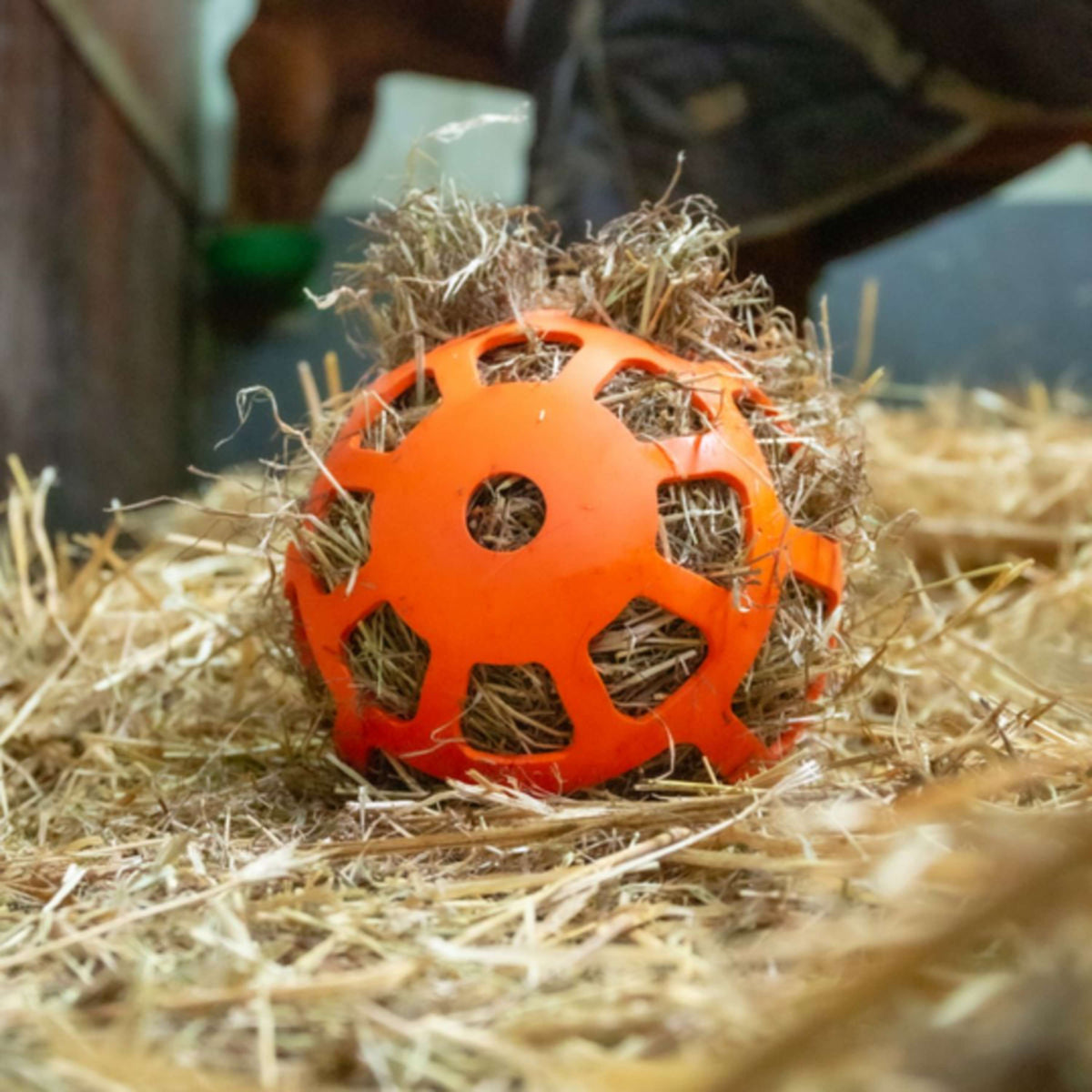 Excellent Hay Slowfeeder Fun and Flex Orange