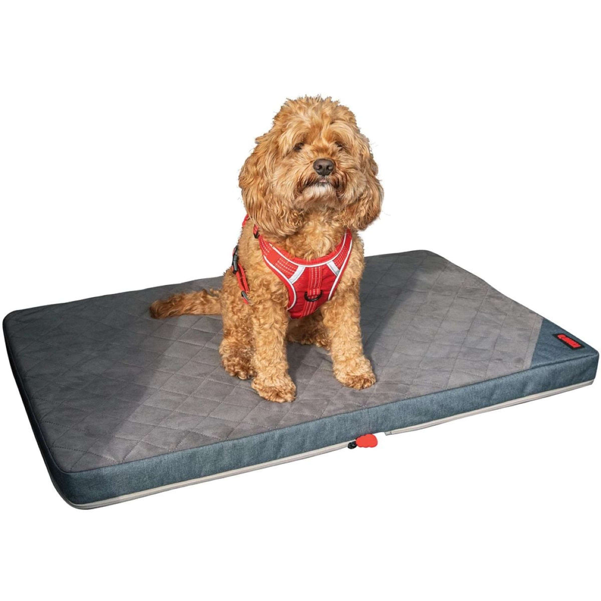 KONG Dog Mat Fold-up Travel Grey