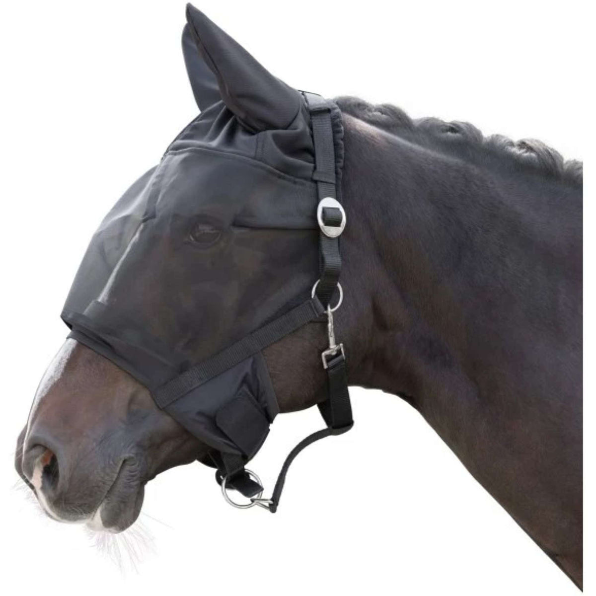 None Fly Mask with Halster Black