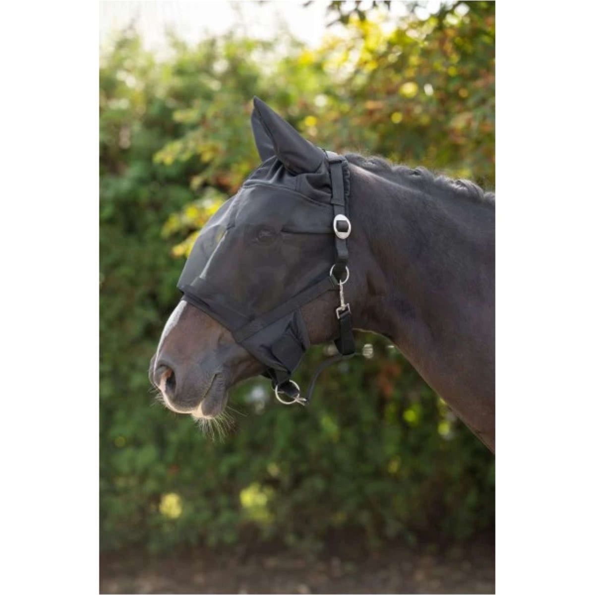 None Fly Mask with Halster Black