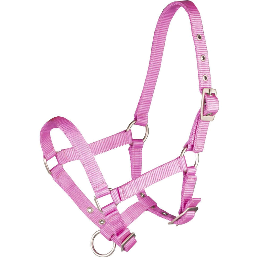 HORKA Halter Basic Foal Hot Pink