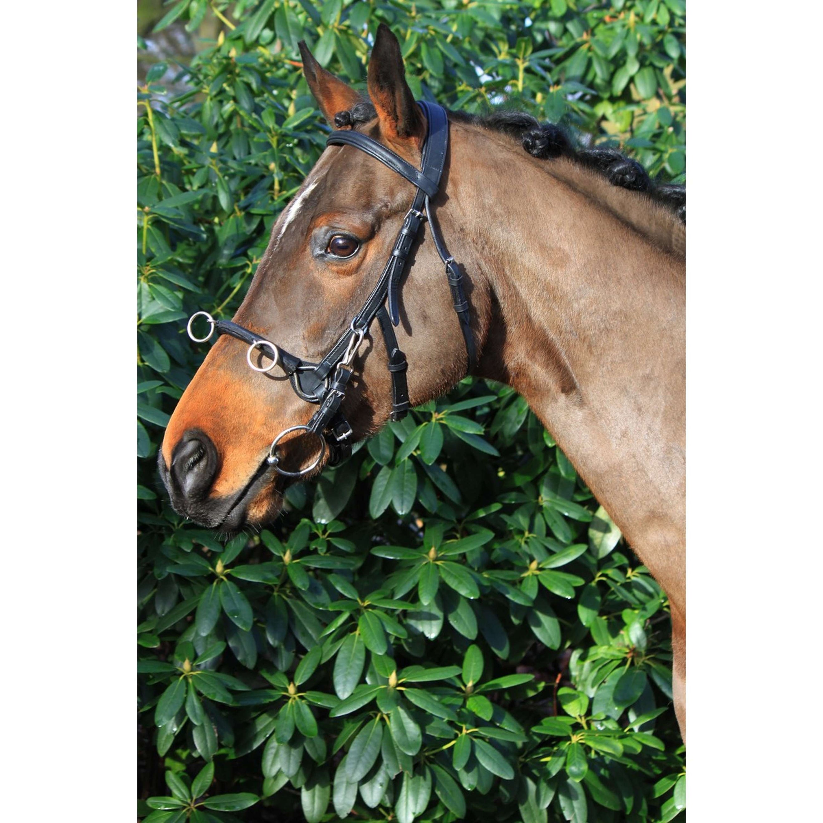 HORKA Cavesson Black/Silver HORKA Cavesson Black/Silver