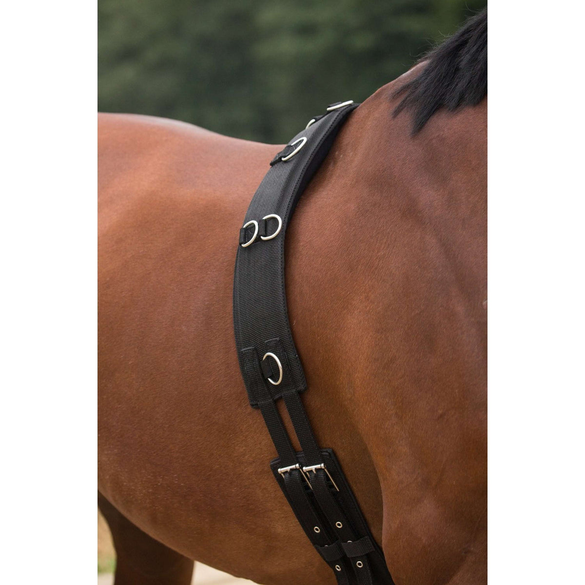 HORKA Lunging Girth with Withers Black