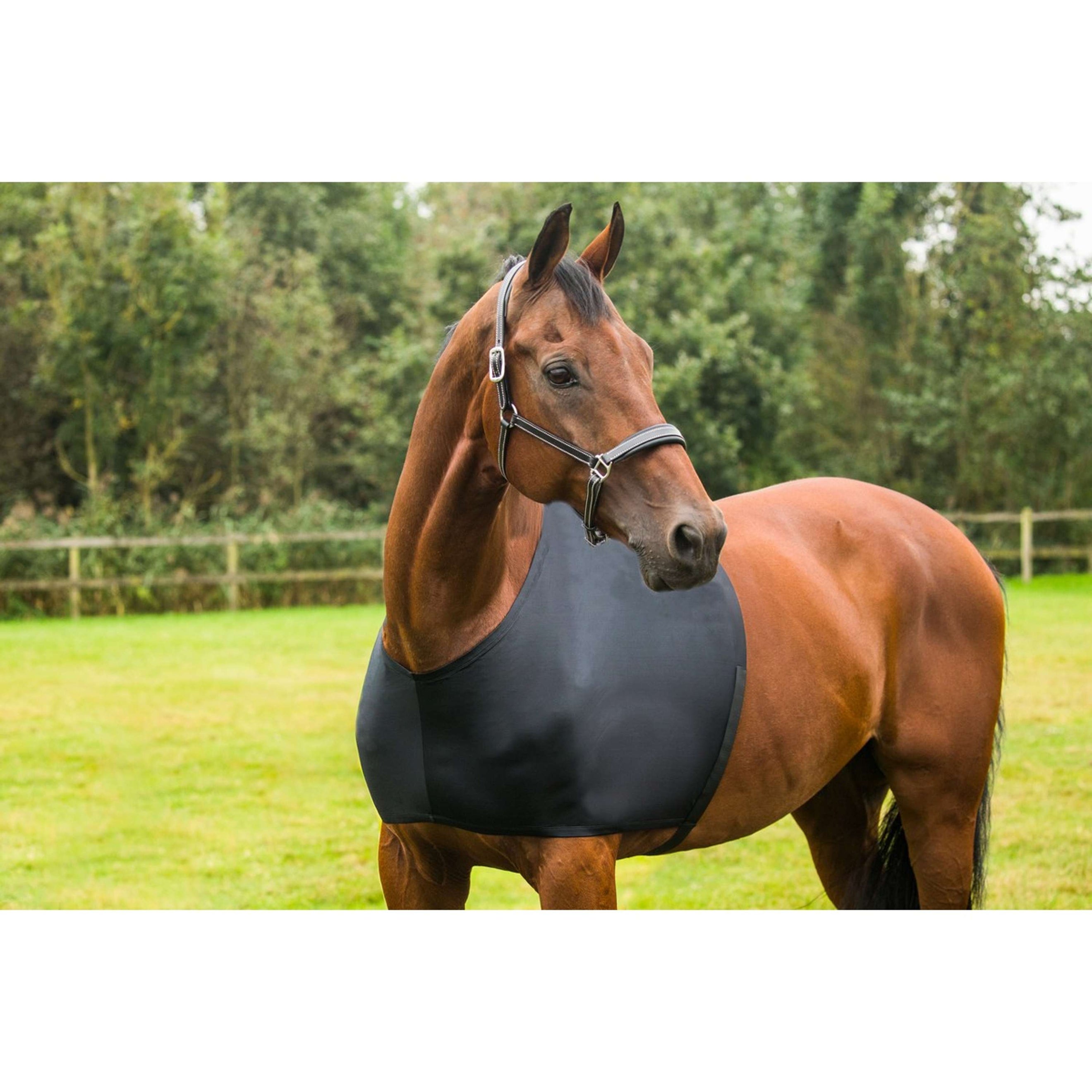 Horka Shoulder Protector Black