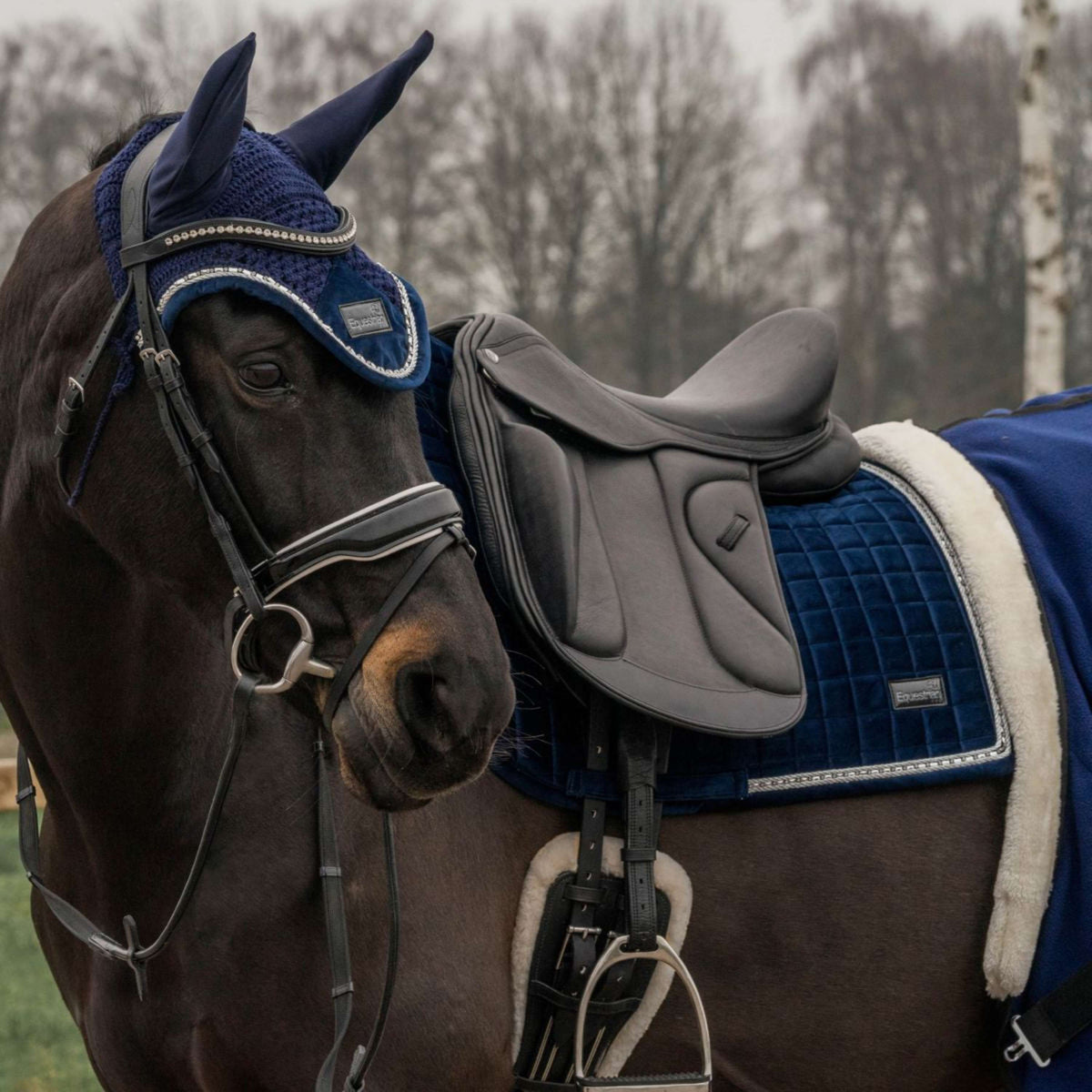 Horka Ear Net Equestrian Pro Velvet Blue