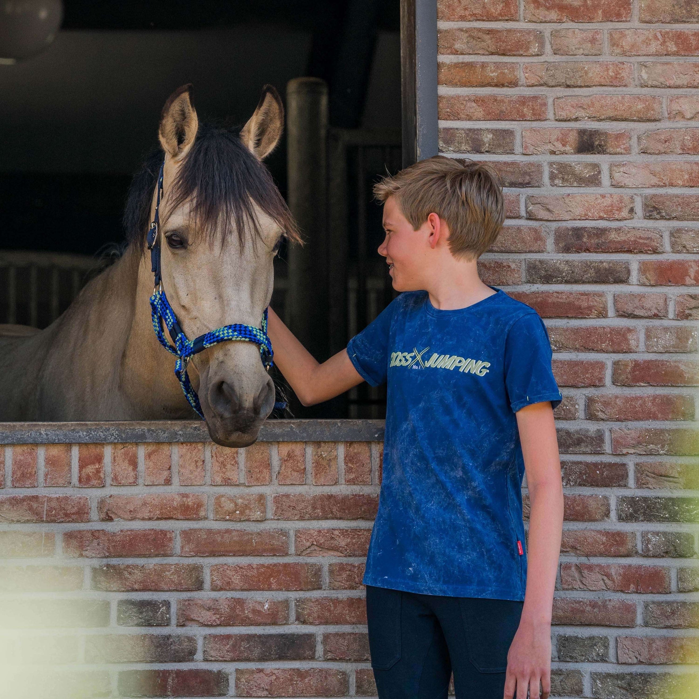 Red Horse T-shirt Cooper Blue