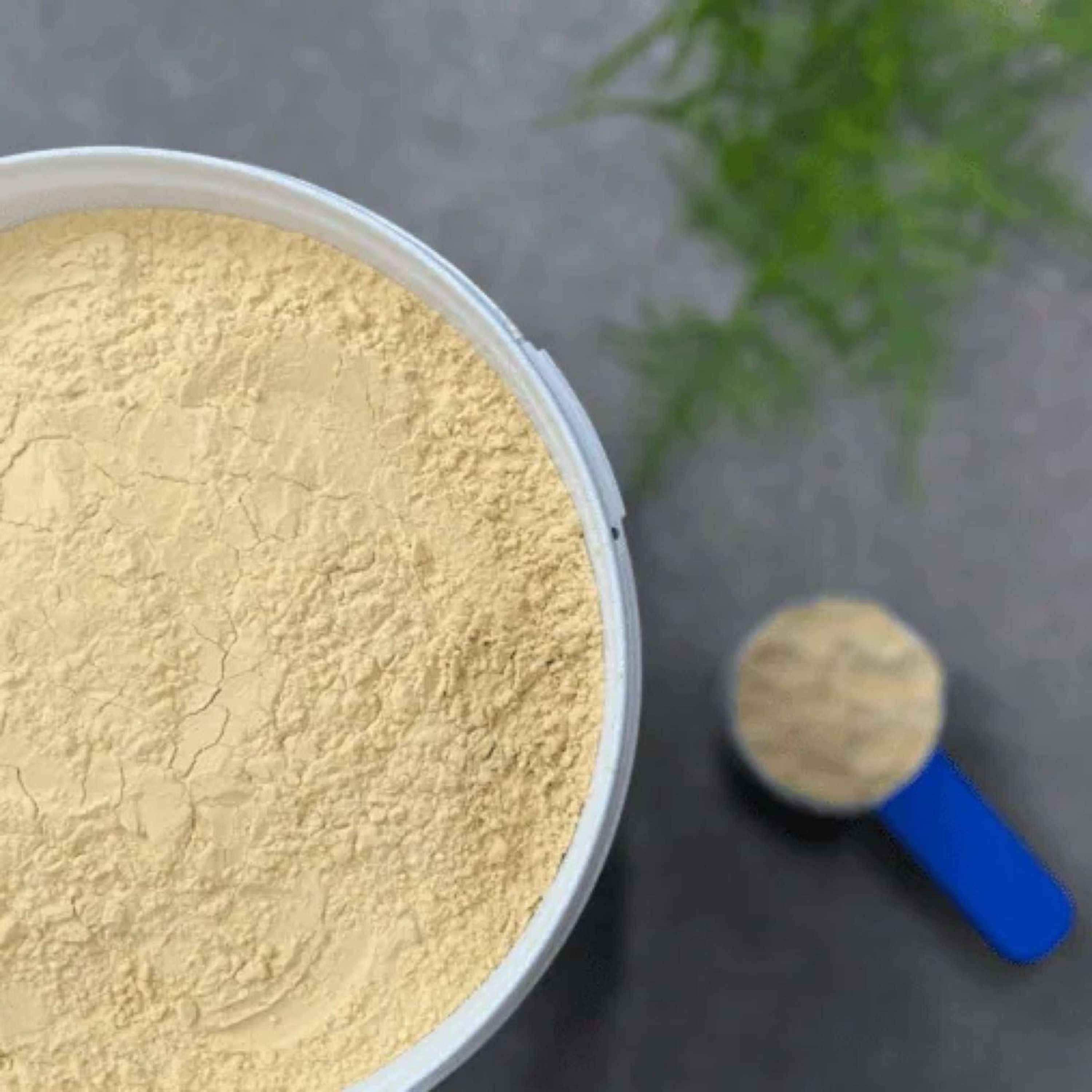 HorseFlex Protein Power Refill