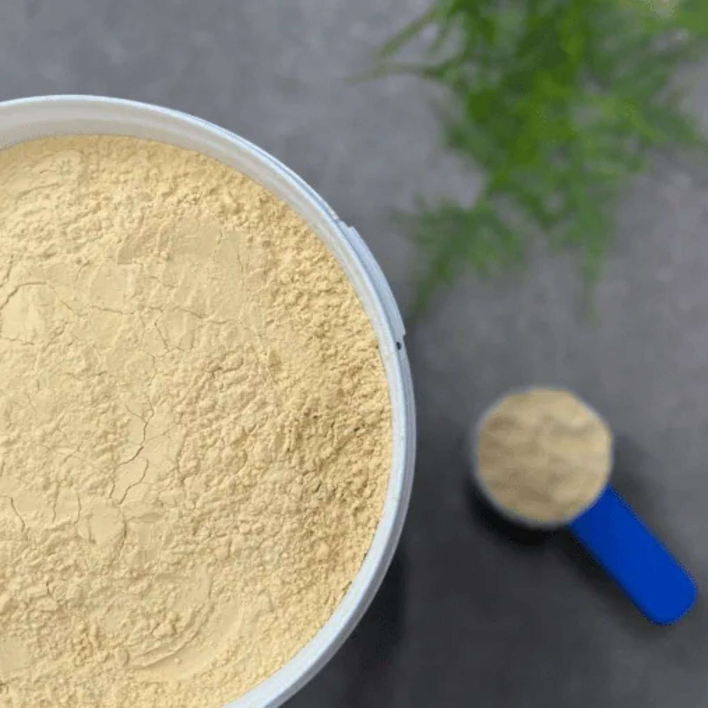 HorseFlex Protein Power Refill