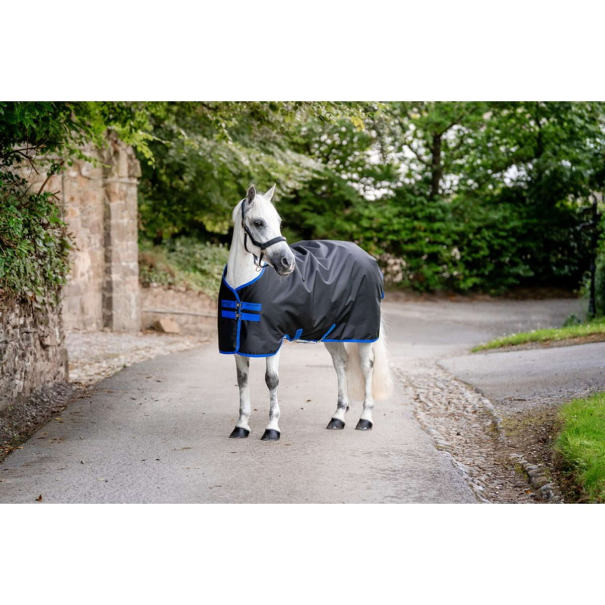 Amigo Winter Rug Ripstop 900 Original 100g Black/Classic