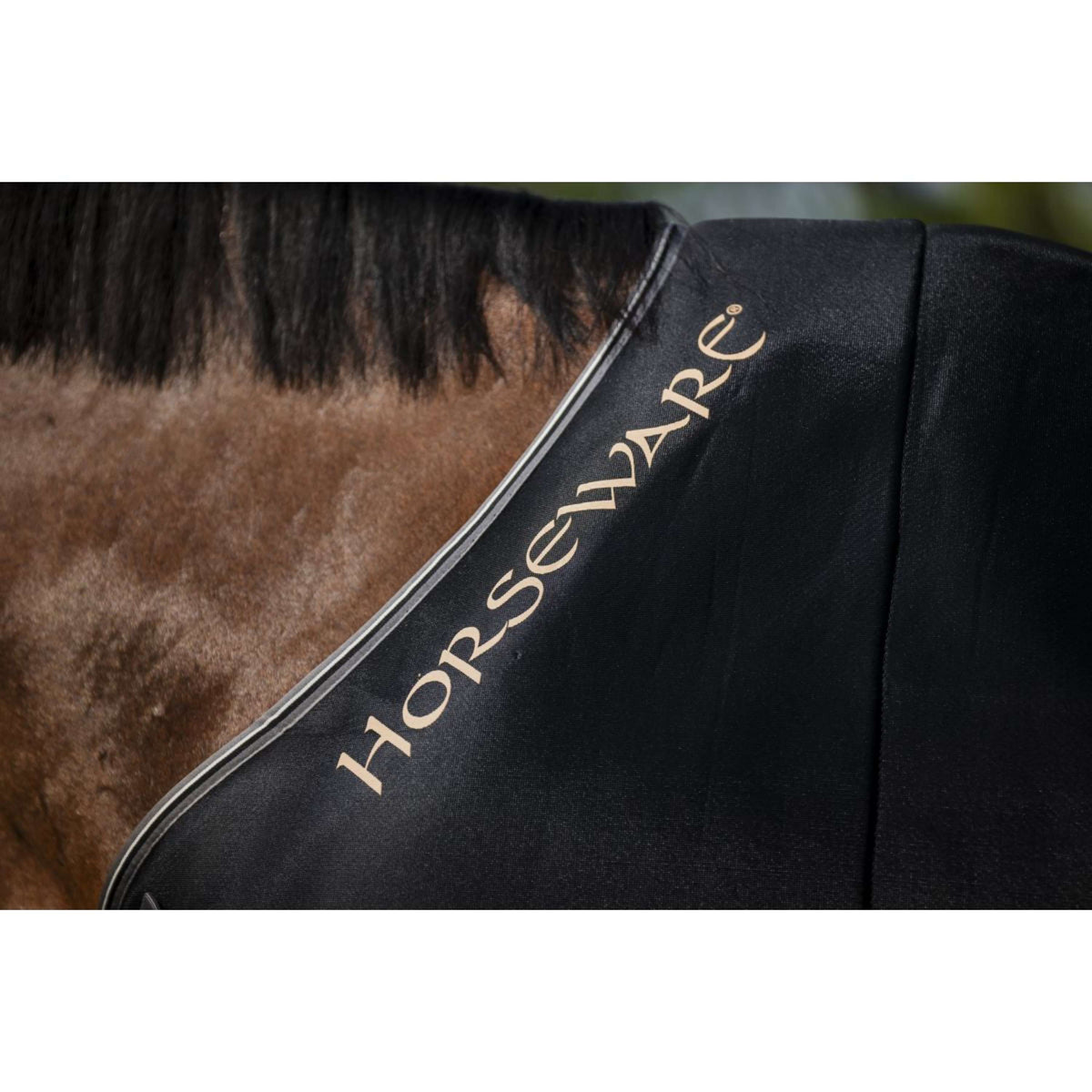 Rambo Airmax Cooler Black/Thunderstorm Grey/Silver