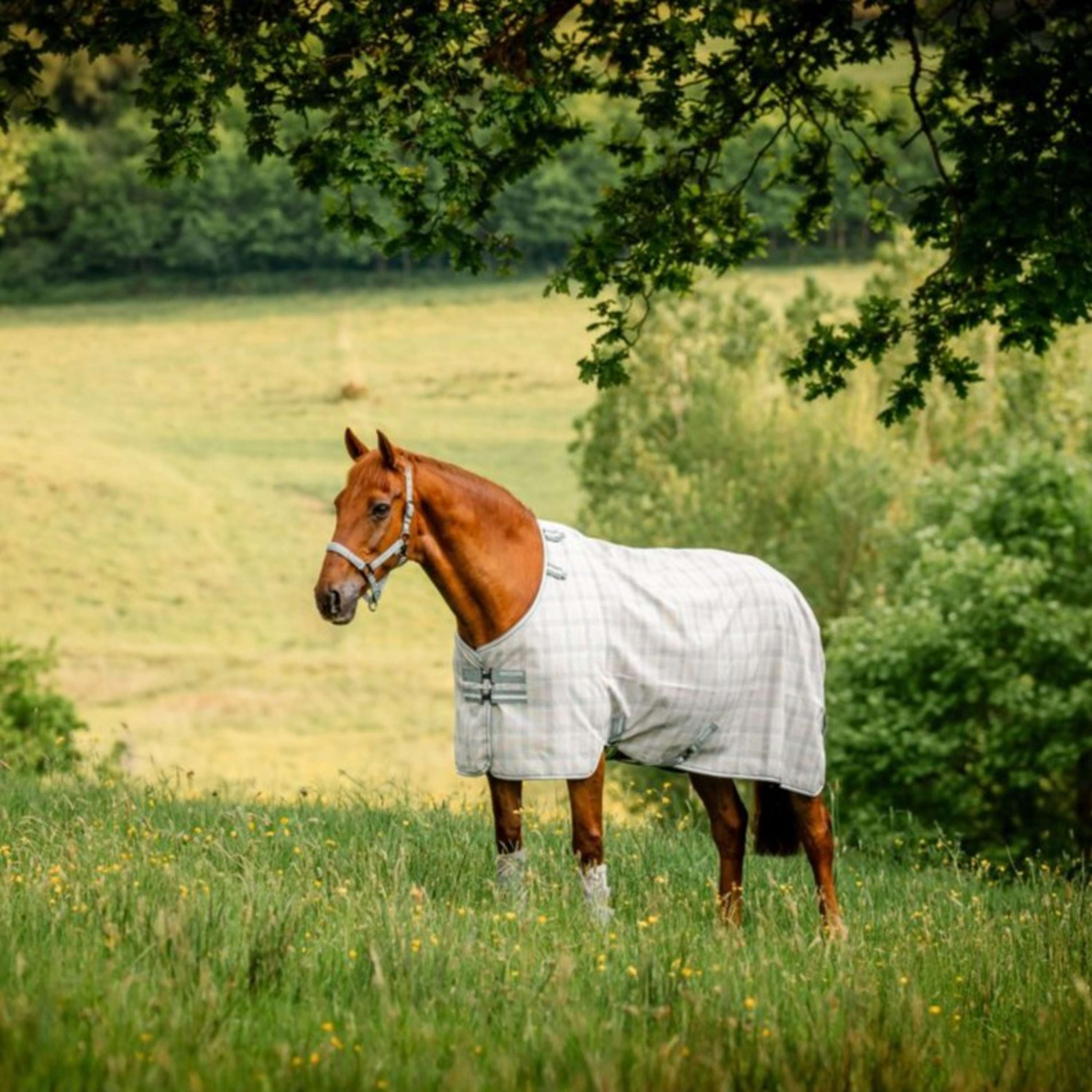Horseware Fly Rug Newmarket Witney Charcoal
