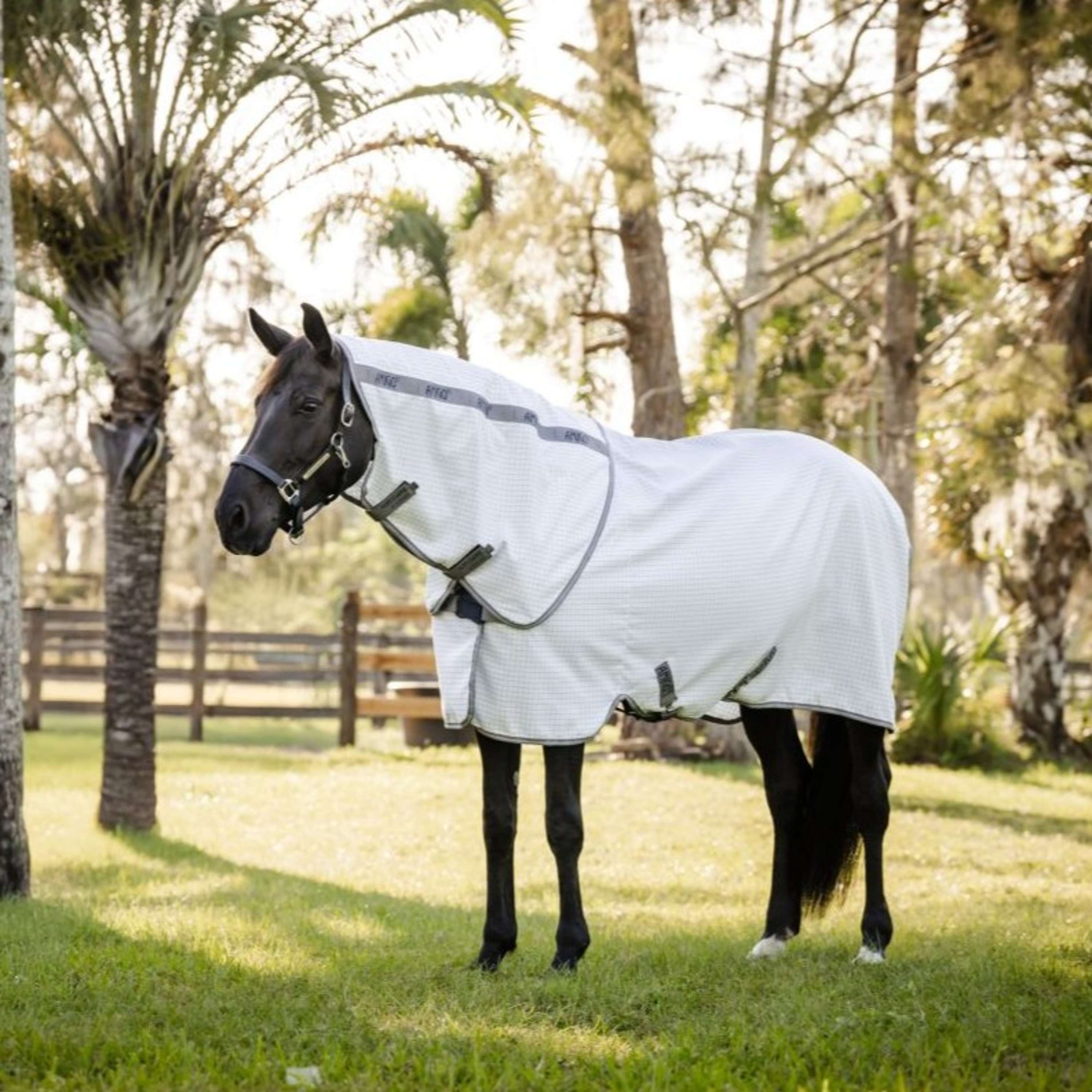Amigo Summer Sheet Plus Navy Check/Titanium Grey/Silver
