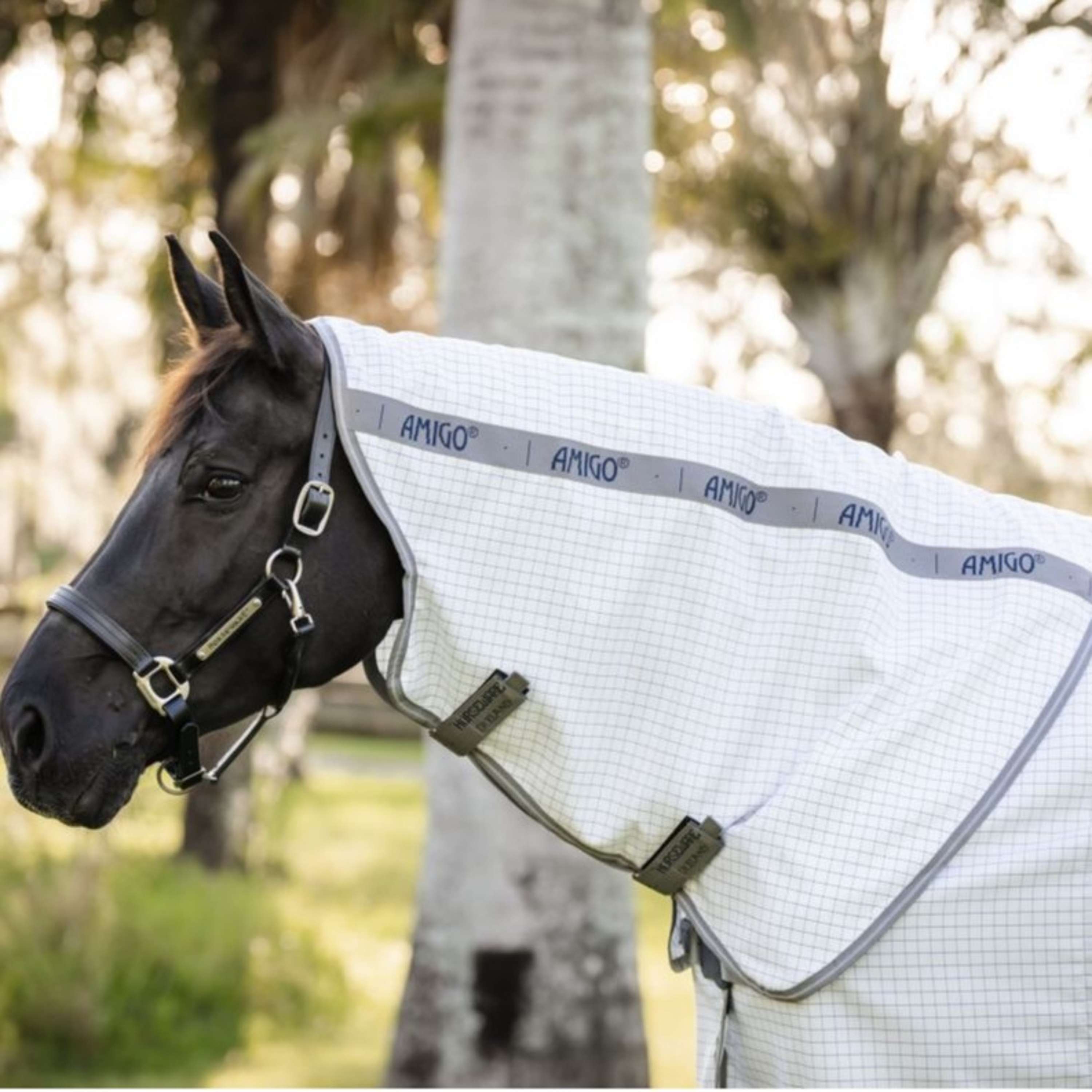 Amigo Summer Sheet Plus Navy Check/Titanium Grey/Silver