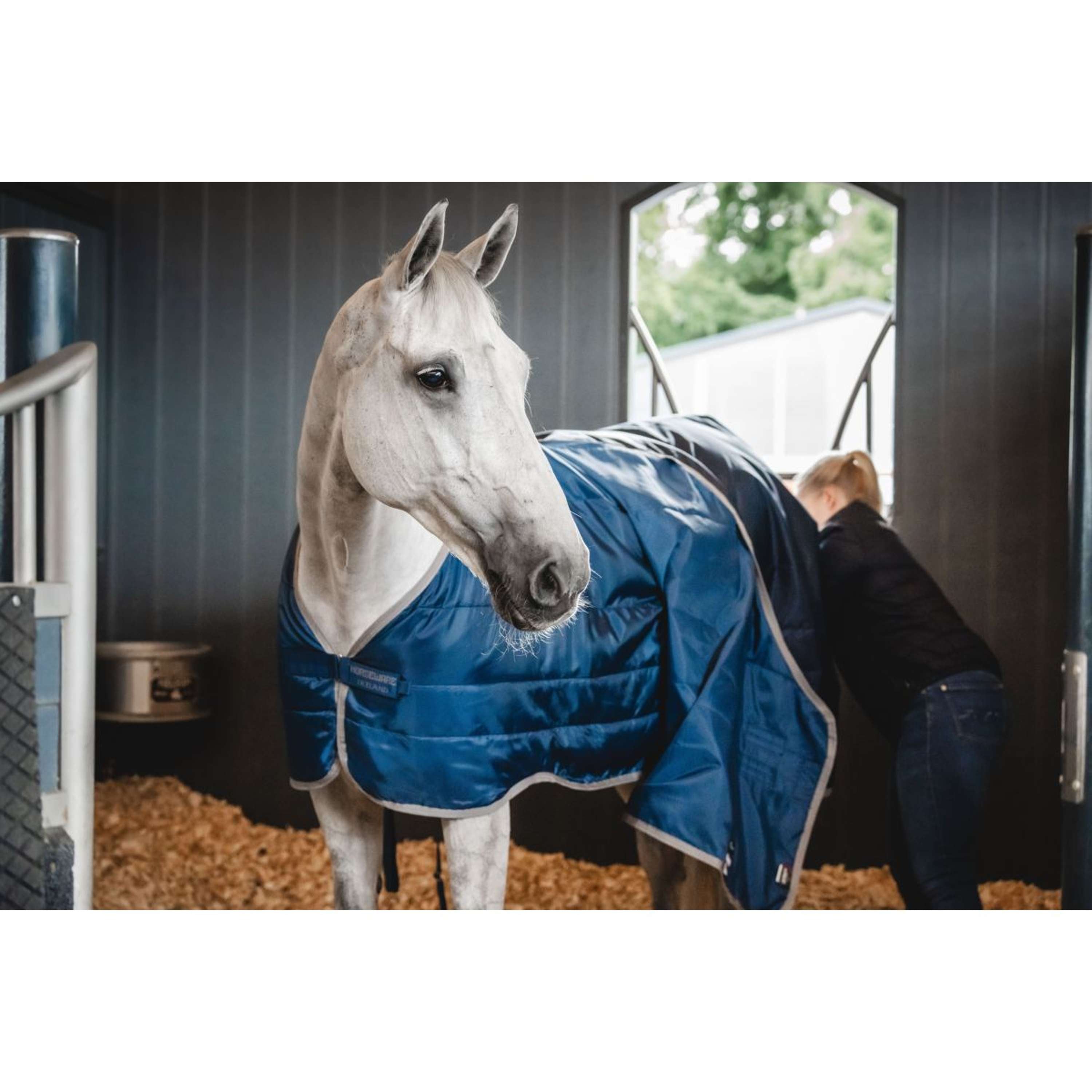 Horseware Therapy Ionic Stable 50g Imperial Blue/Silver/Navy