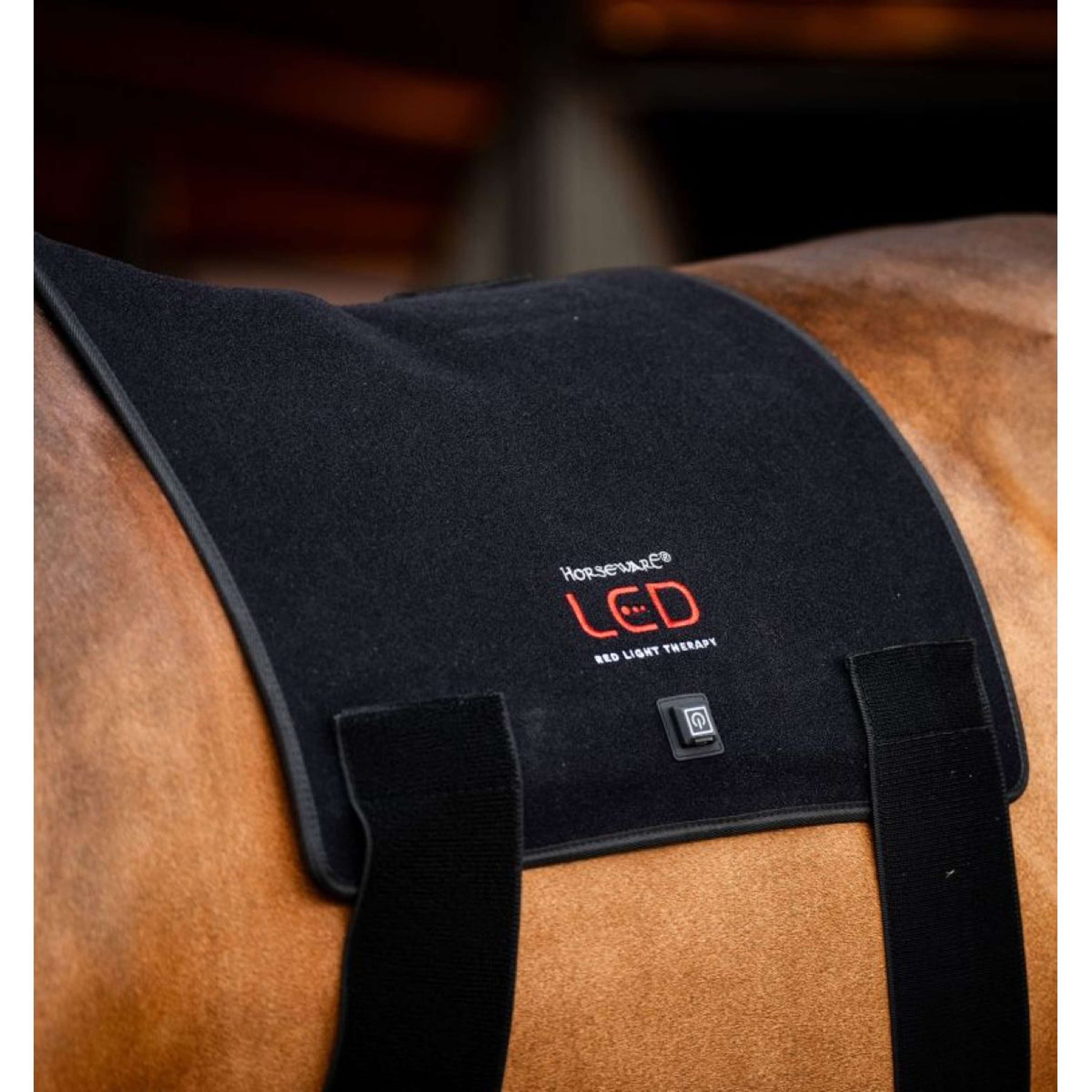 Horseware LED Red Light Therapy Pad Black