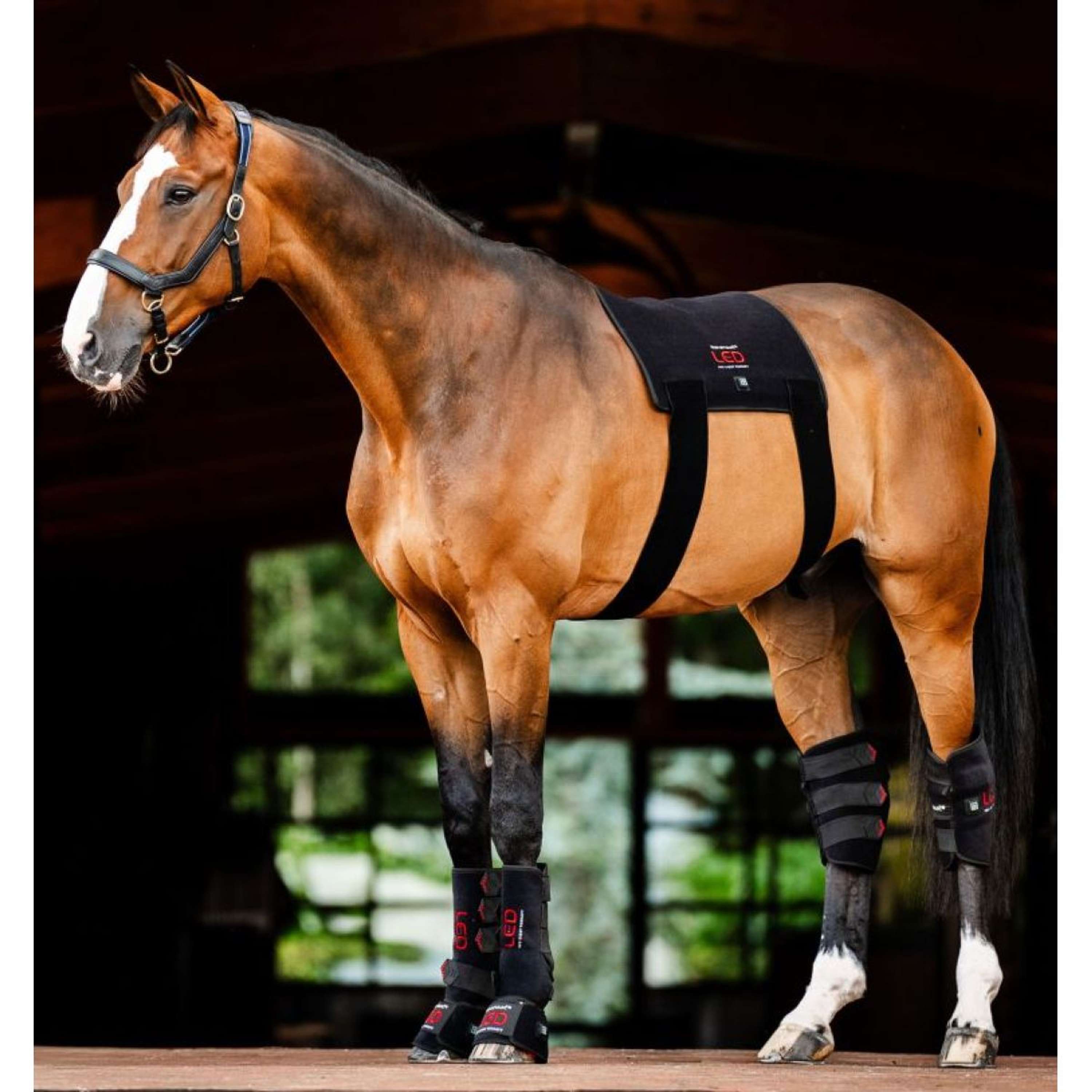 Horseware LED Red Light Therapy Pad Black