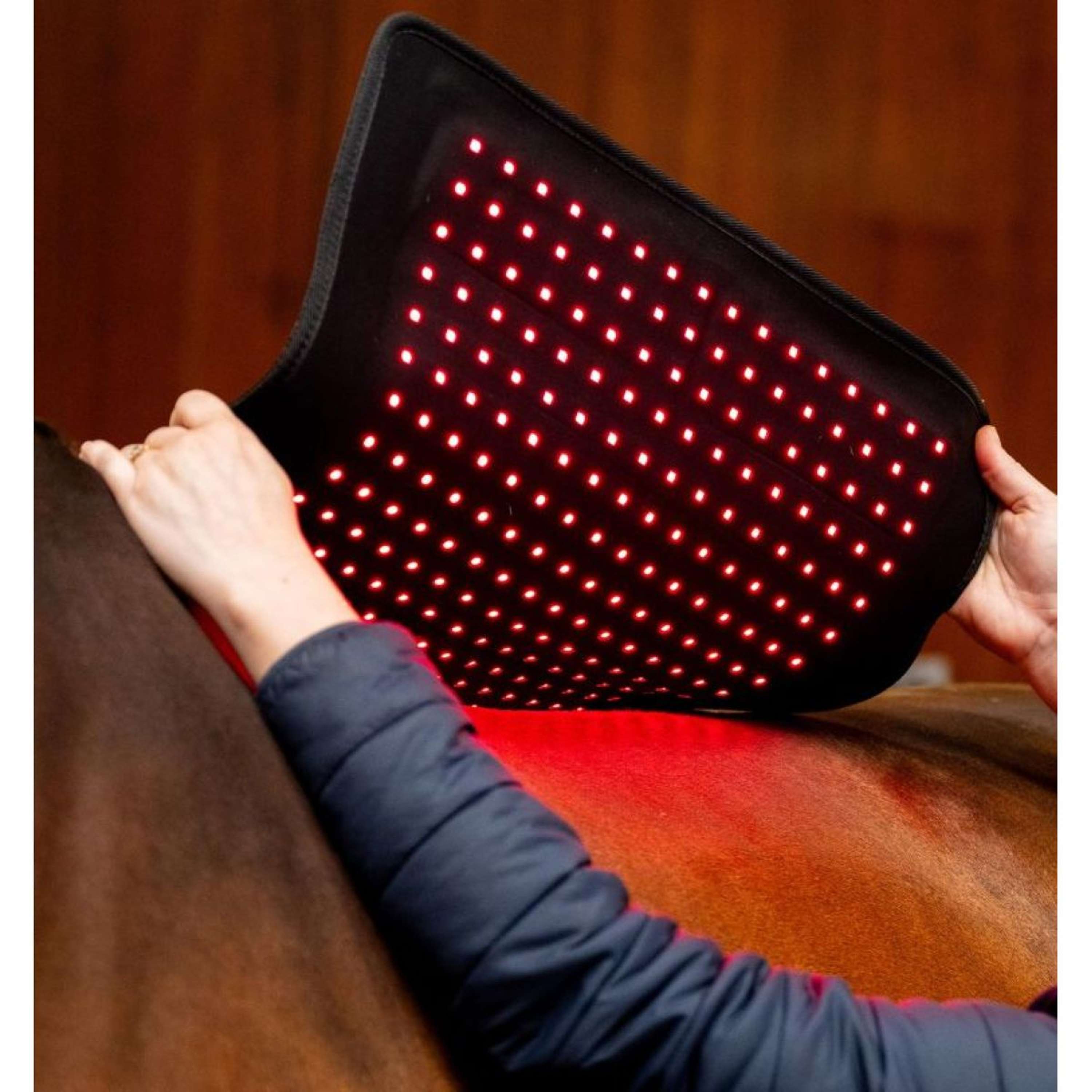 Horseware LED Red Light Therapy Pad Black