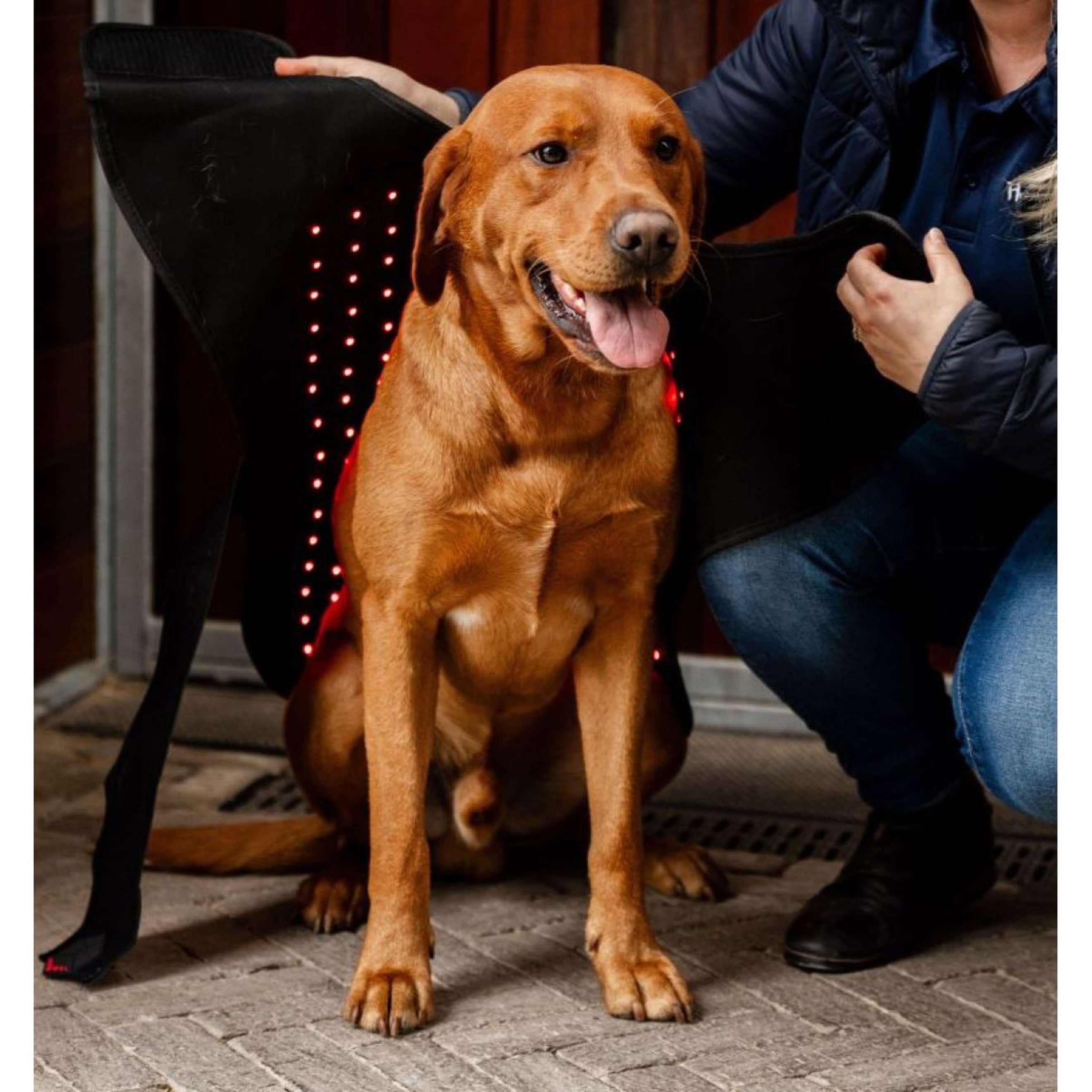 Horseware LED Red Light Therapy Rugs Black