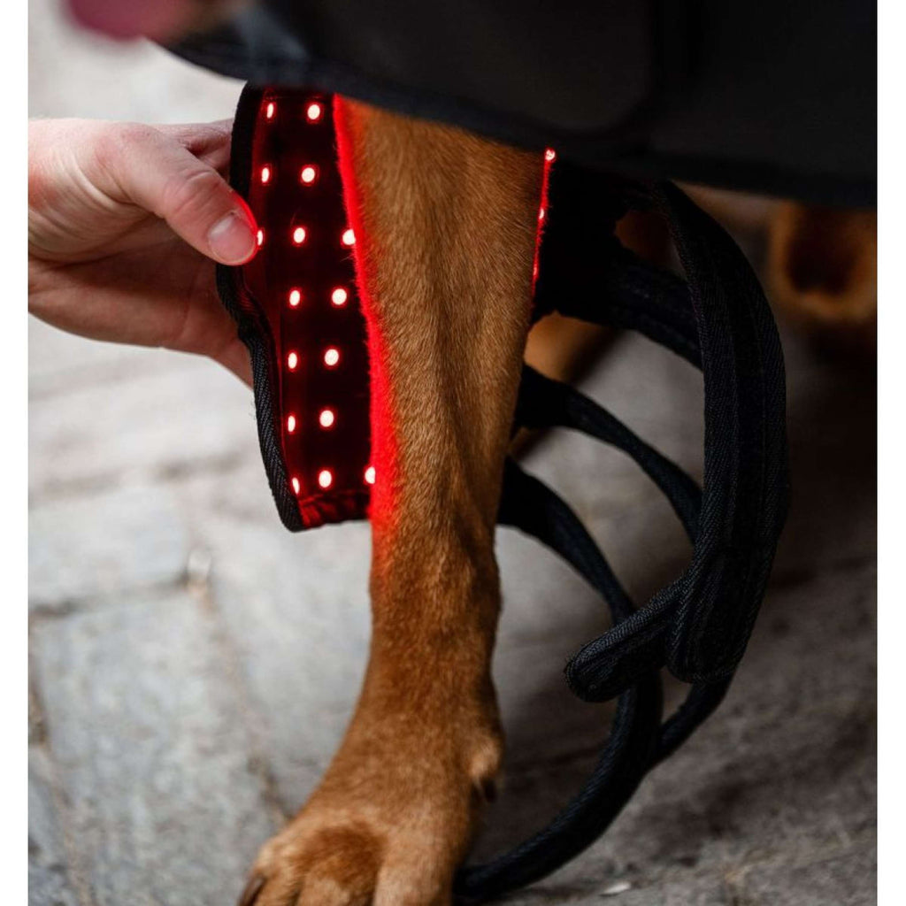 Horseware LED Red Light Therapy Pet Leg Wrap Black