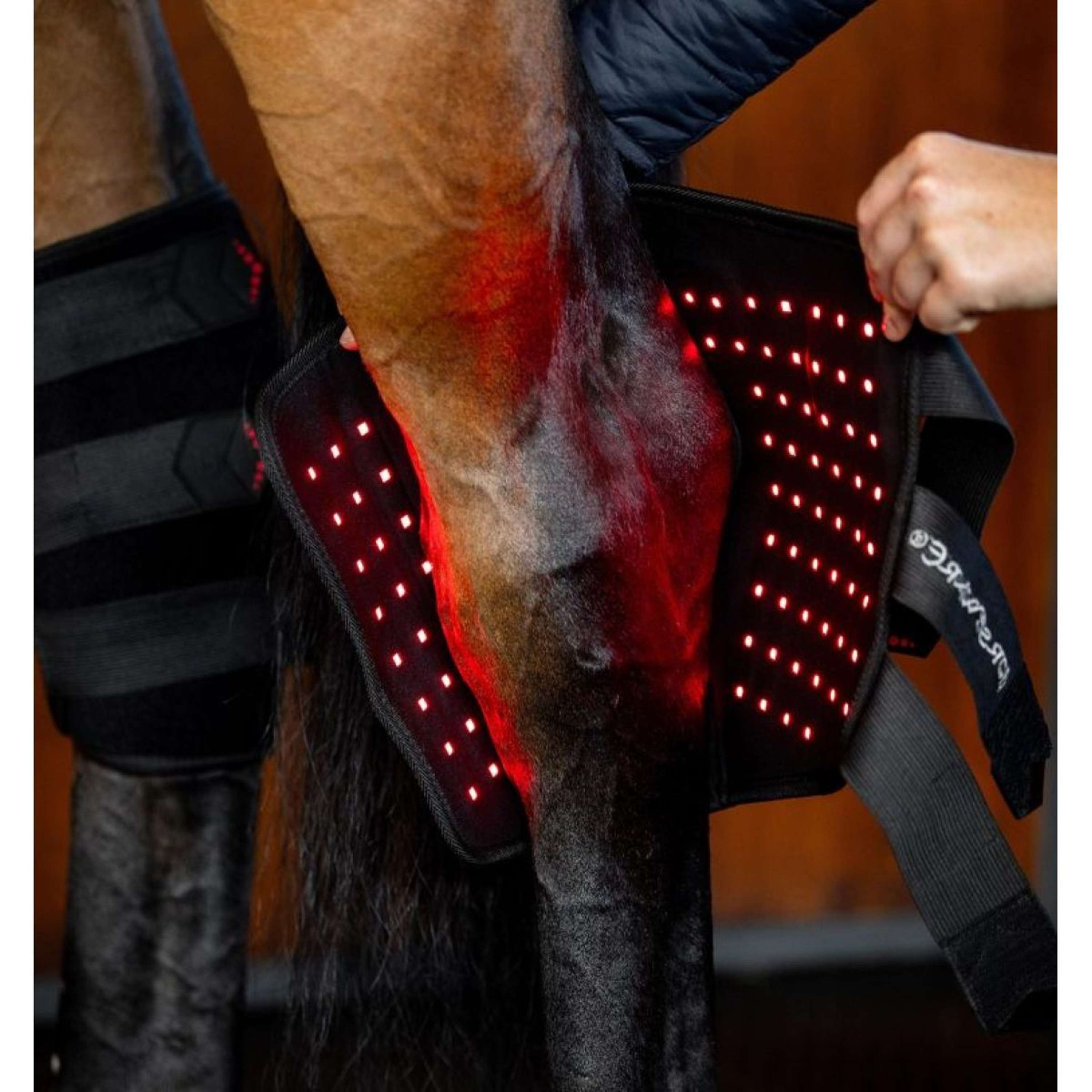 Horseware LED Red Light Therapy Right Hock Boot Black
