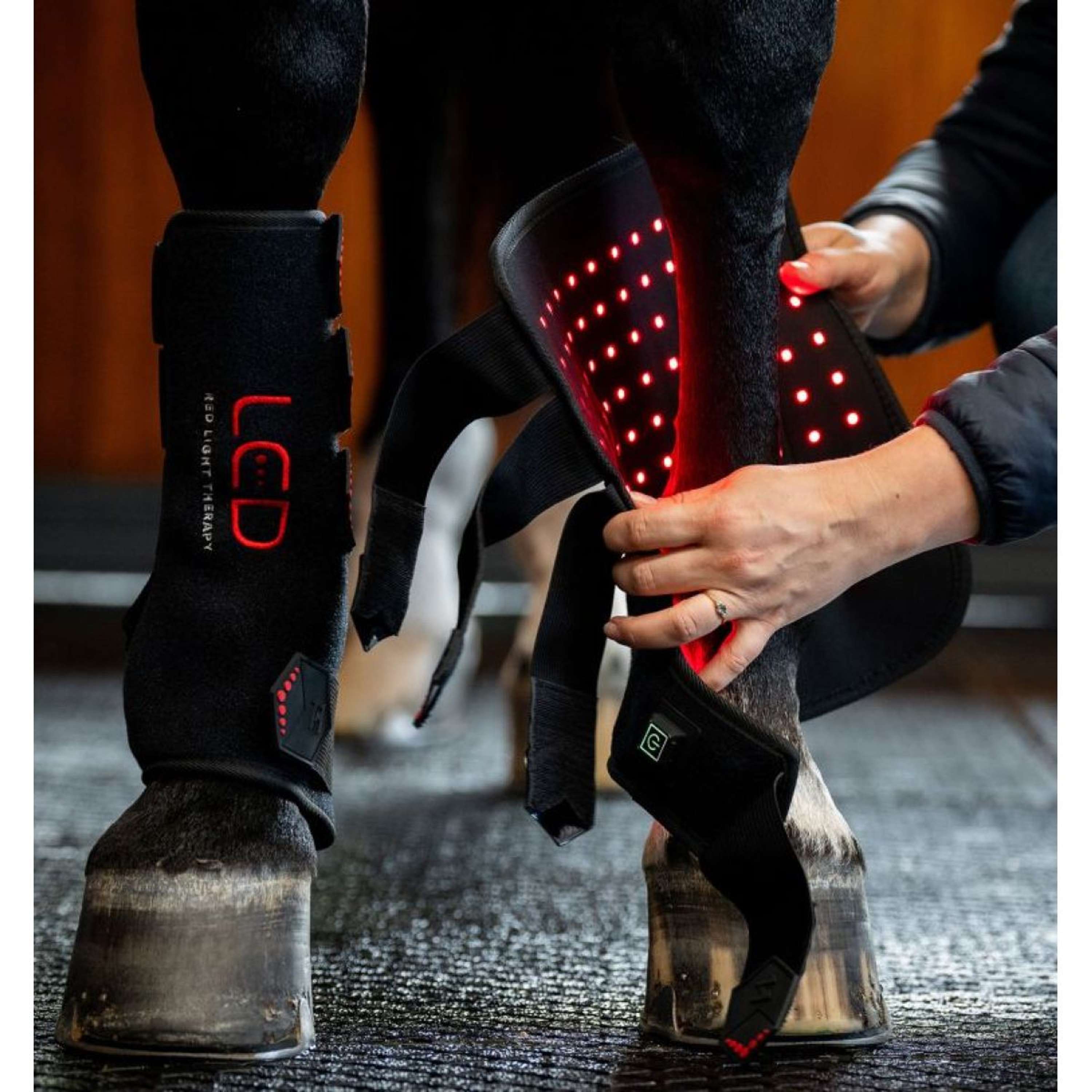 Horseware LED Red Light Therapy Right Leg Wrap Black