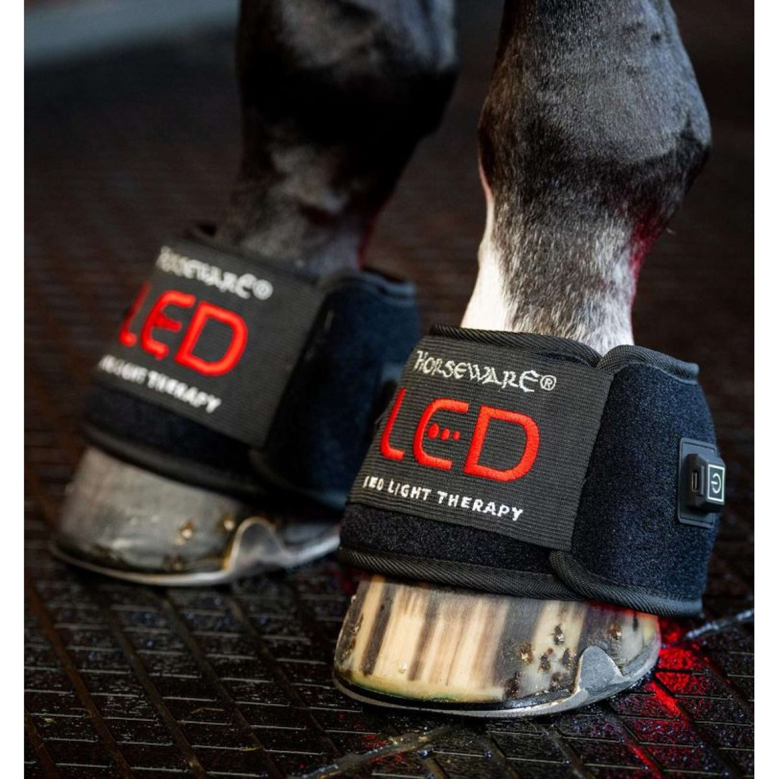 Horseware LED Red Light Therapy Mini Wrap Black