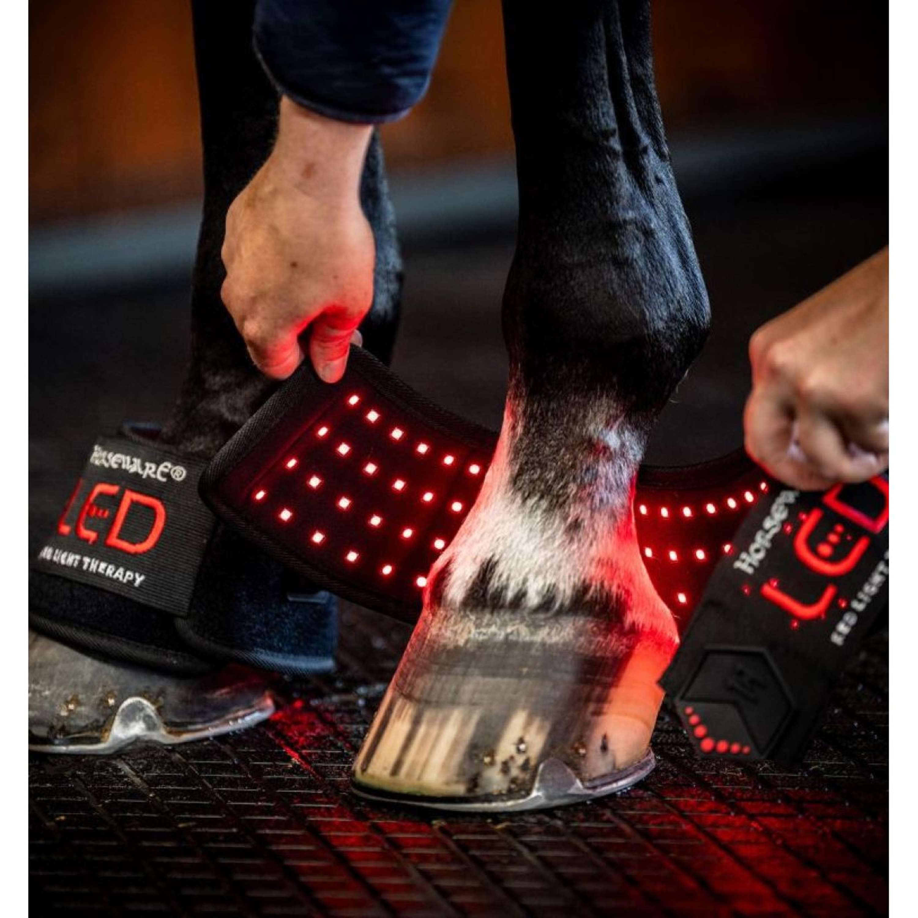 Horseware LED Red Light Therapy Mini Wrap Black