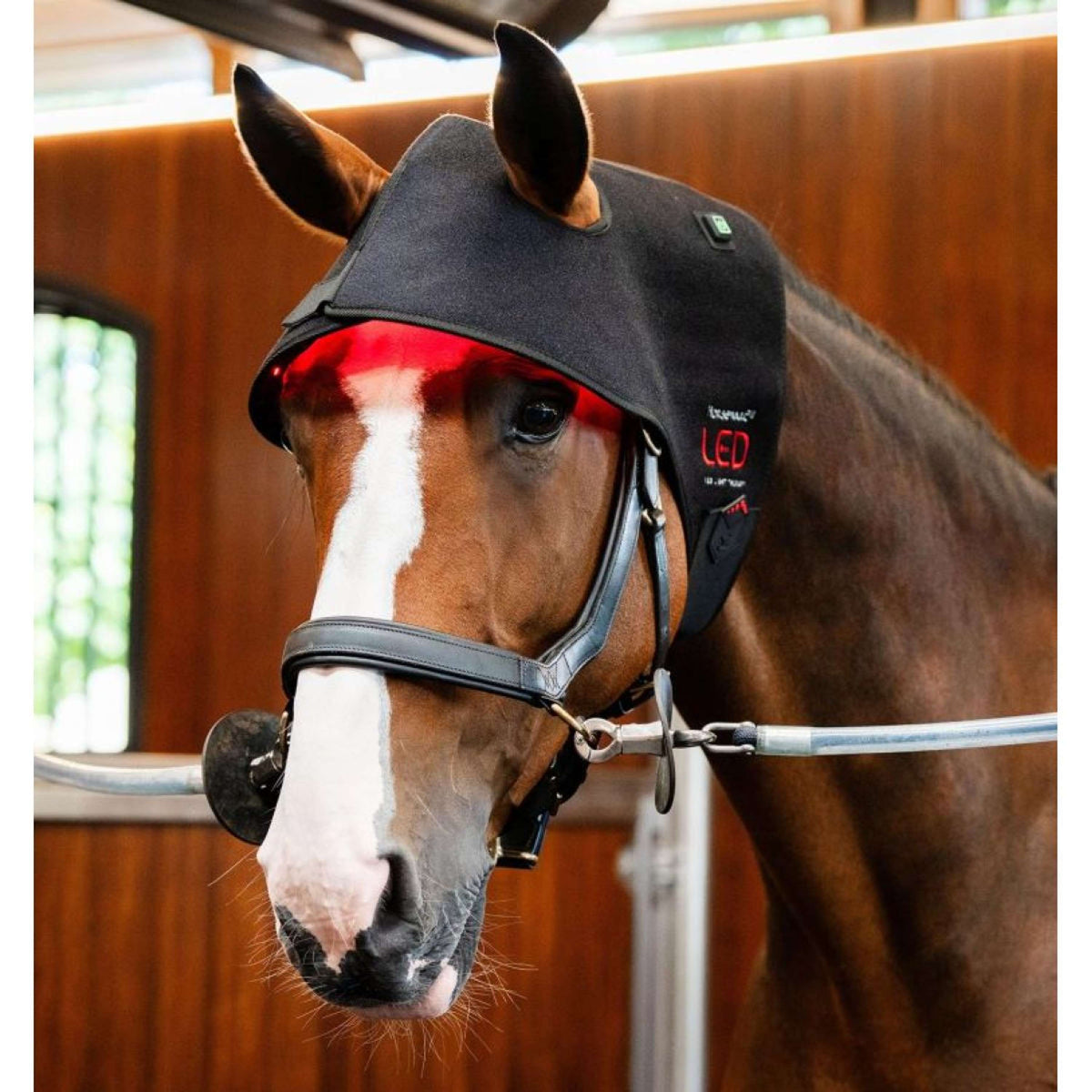 Horseware LED Red Light Therapy Poll Cap Black