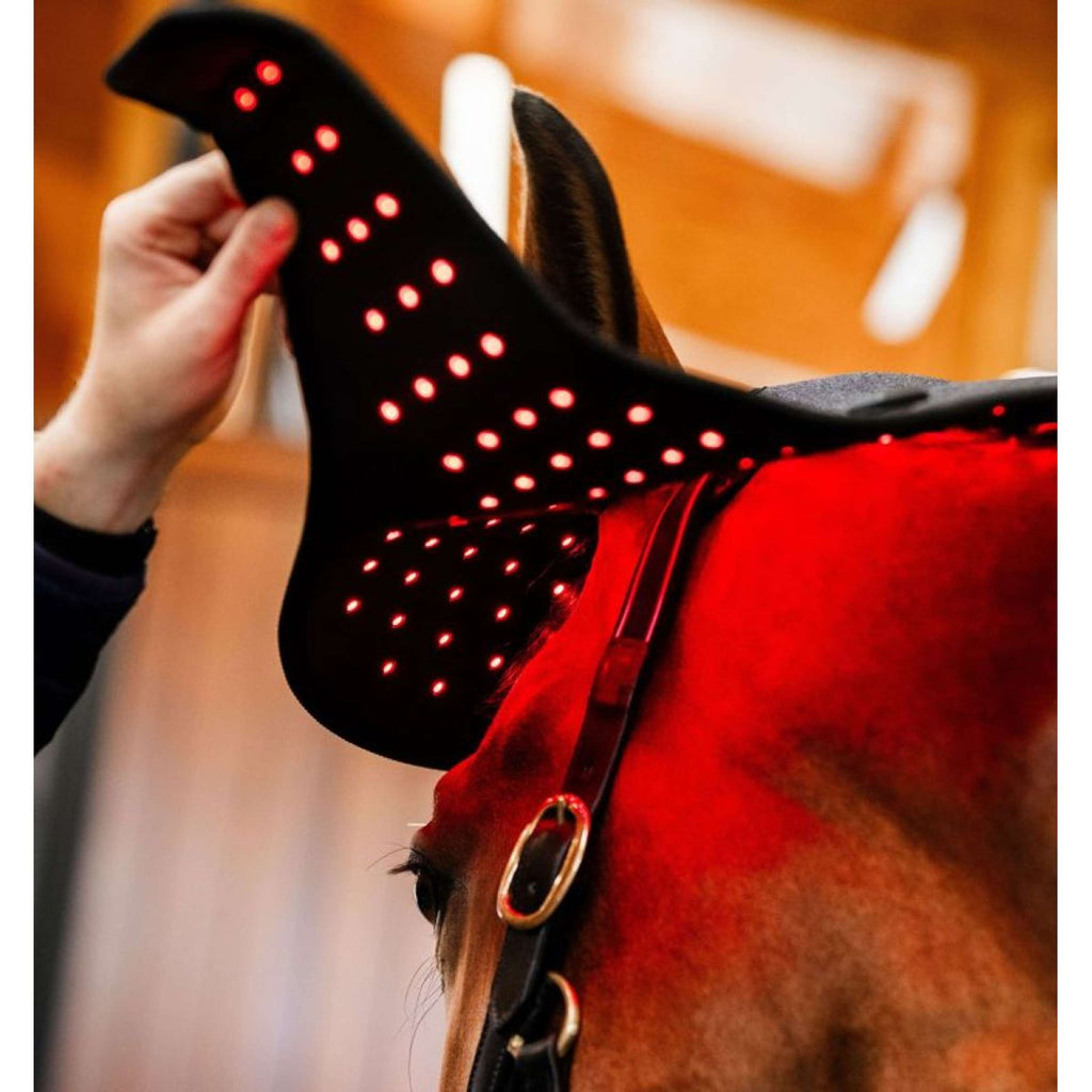 Horseware LED Red Light Therapy Poll Cap Black