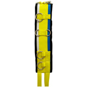 Imperial Riding Lunging Girth Deluxe Nylon Neon Citrus