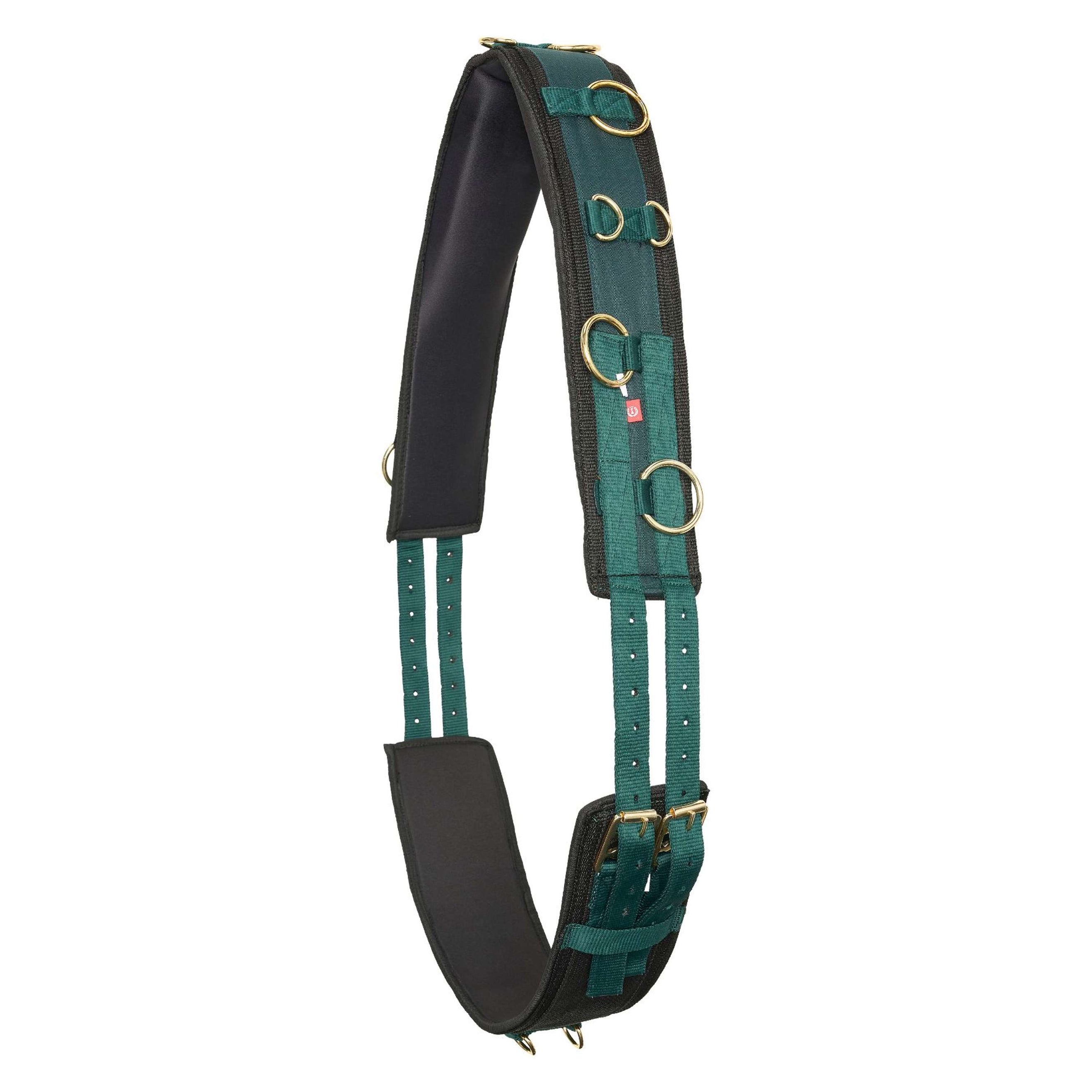 Imperial Riding Lunging Girth Deluxe Additional Nylon