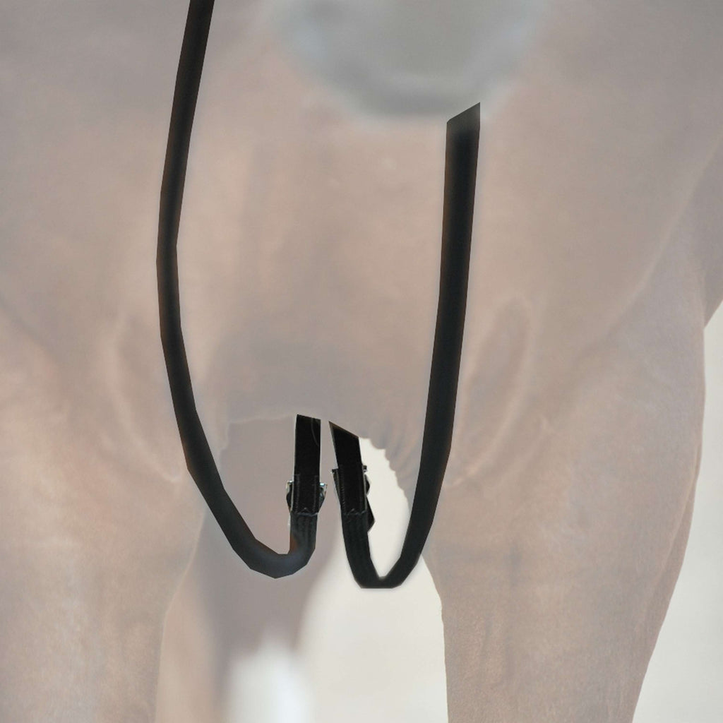 Kavalkade Draw Reins Black