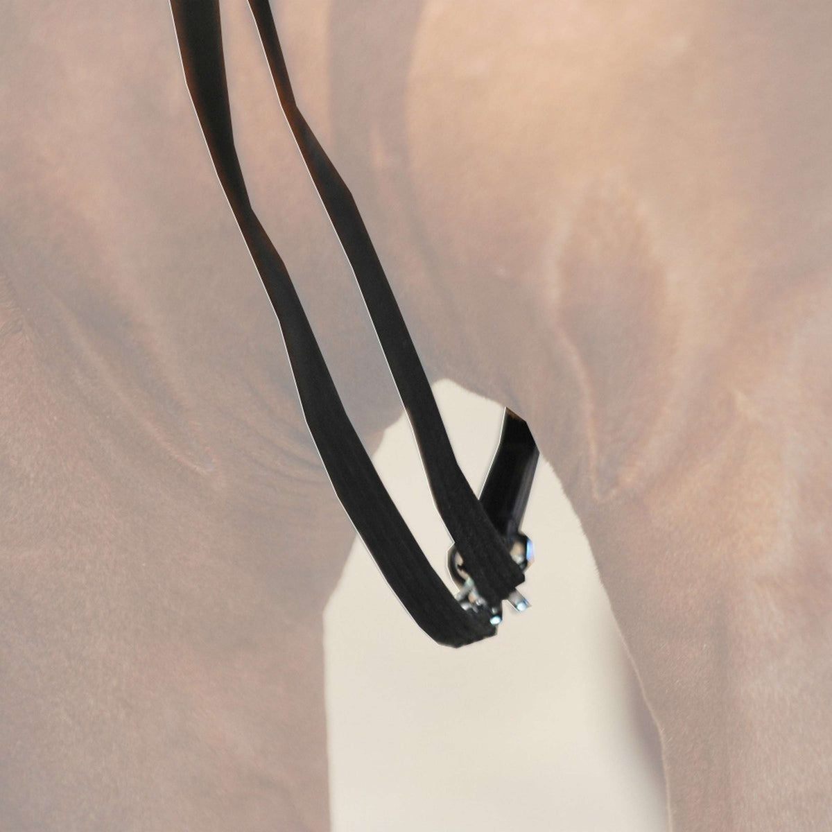 Kavalkade Draw Reins with Buckle Black