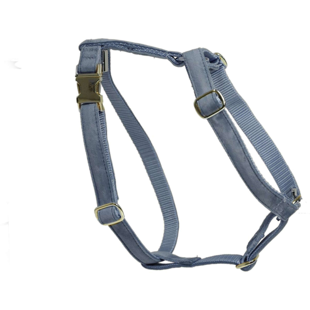 Kentucky Harness Loop Lightblue