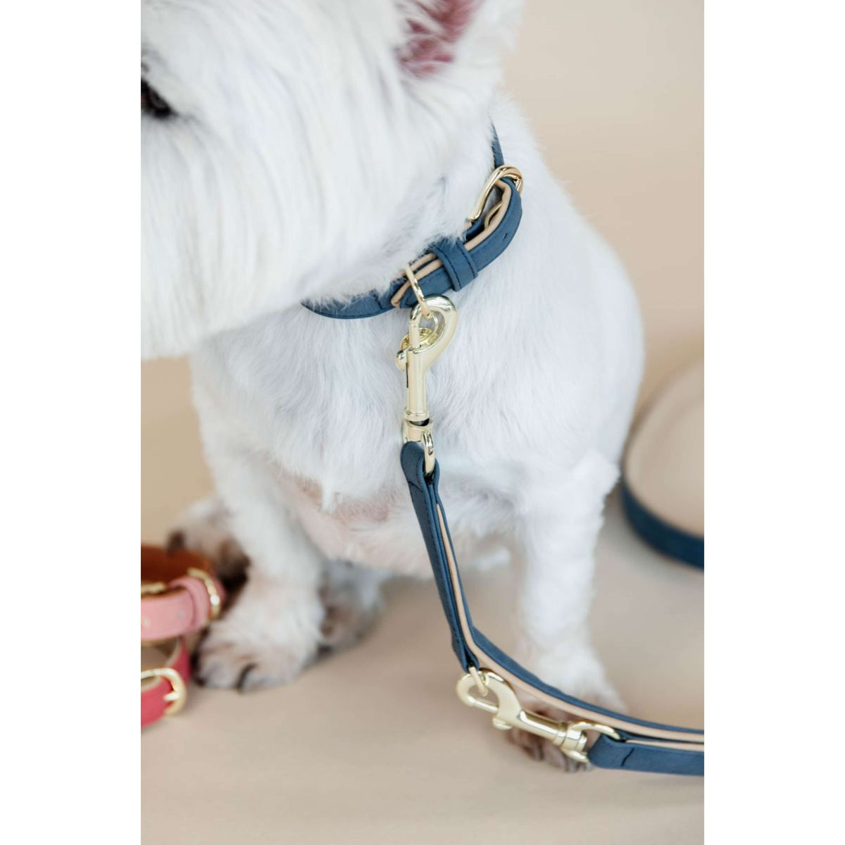 Kentucky Dog Leash Vegan Leather Navy/Beige