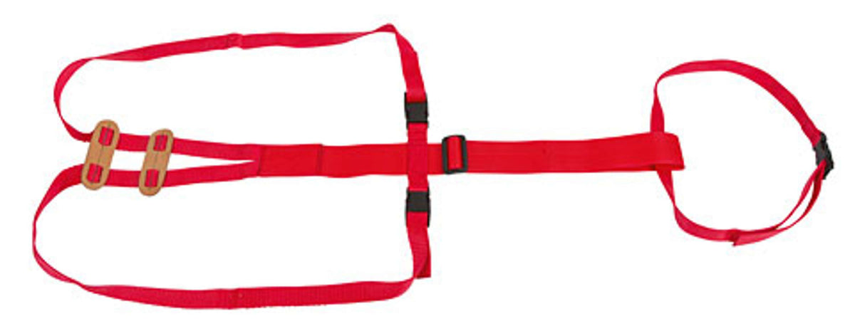 Kerbl Prolapse Harness for Sheep