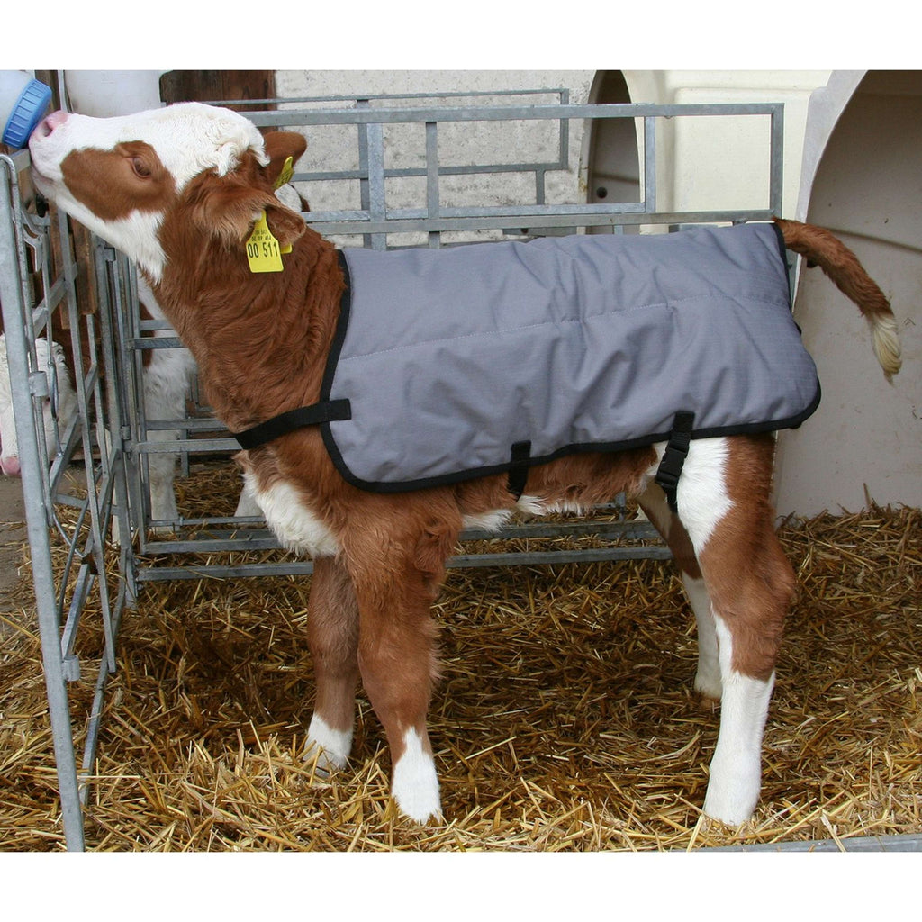 Kerbl Calf Coat Ripstopp