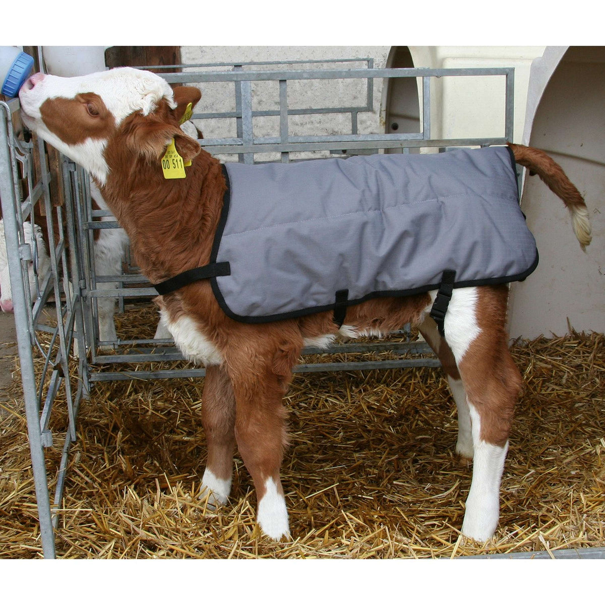 Kerbl Calf Coat Ripstopp