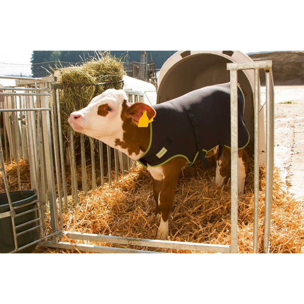 Kerbl Calf Rug Black