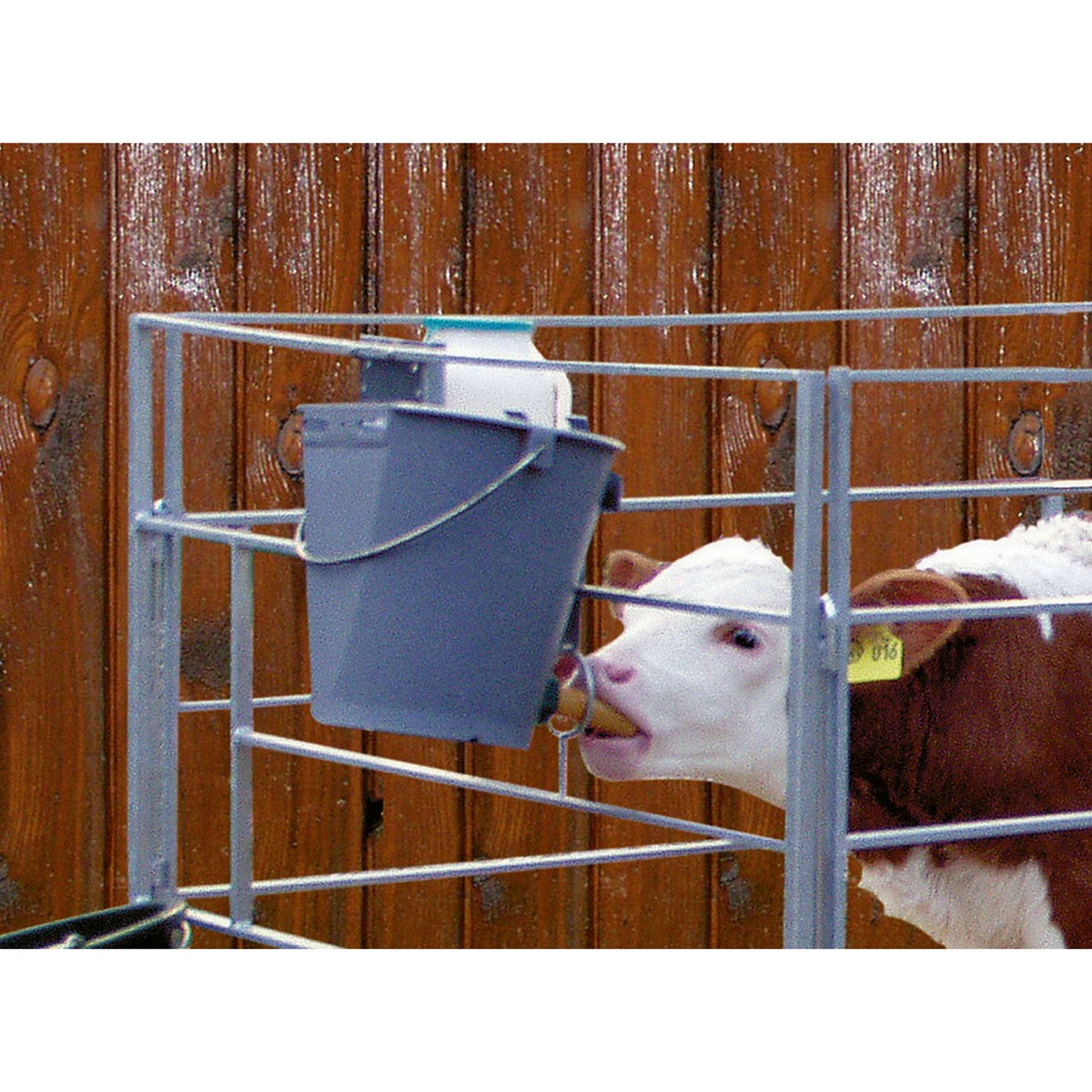 Kerbl Calf Feeding Bucket Plastic with Teat