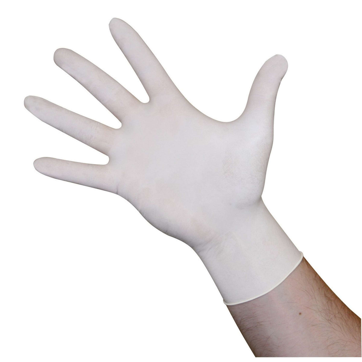 Kerbl Disposable Gloves