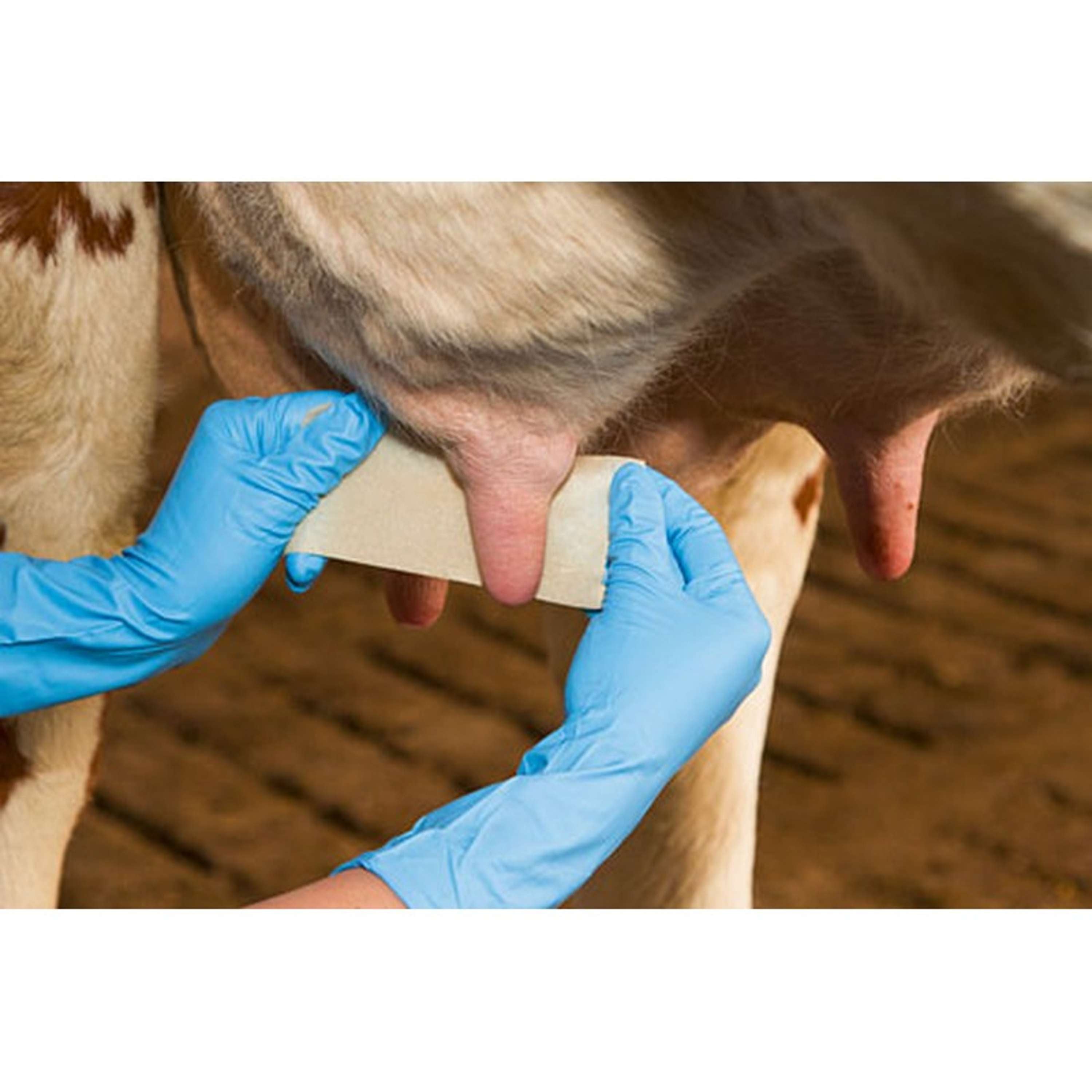 Kerbl Teat Bandage Udderosoft
