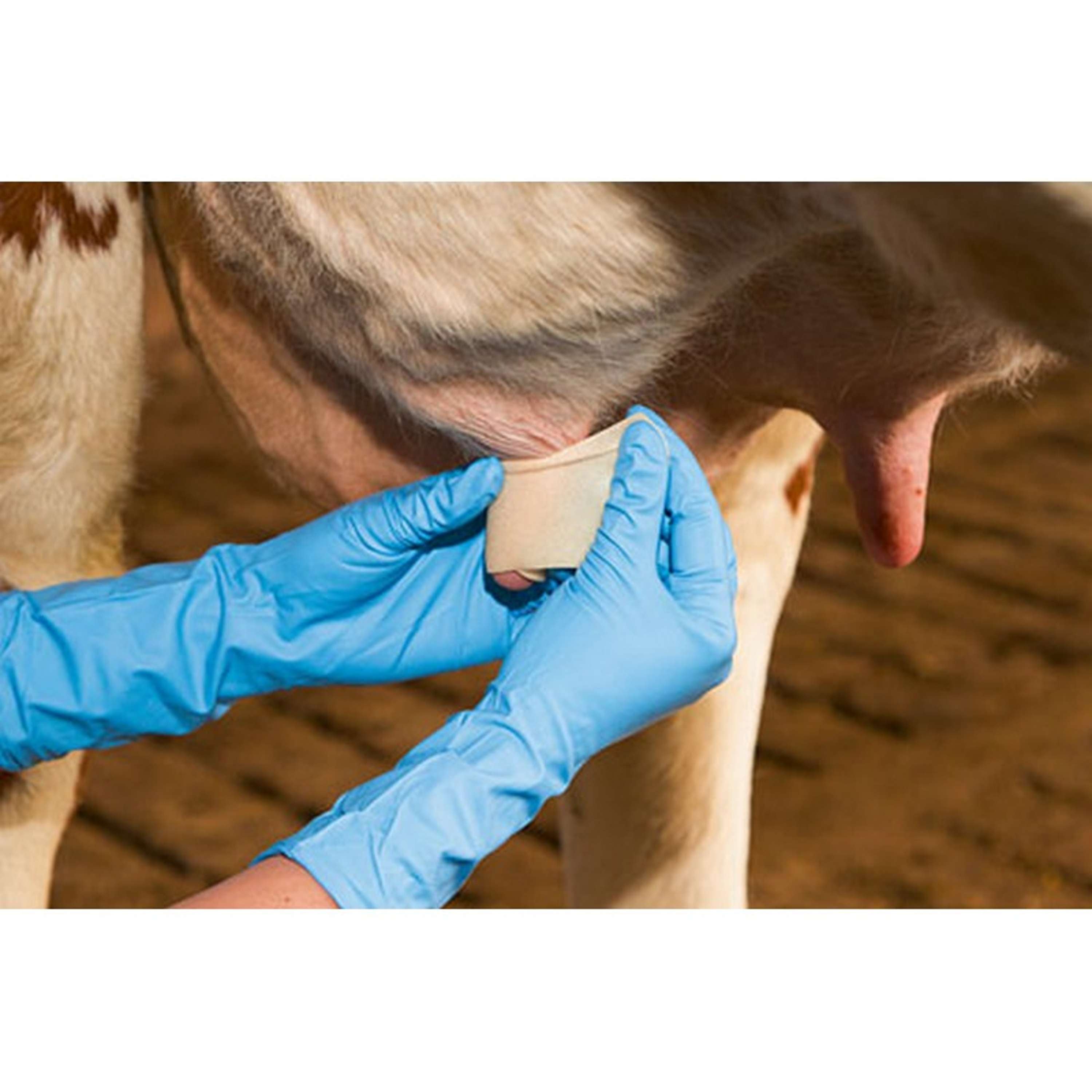 Kerbl Teat Bandage Udderosoft