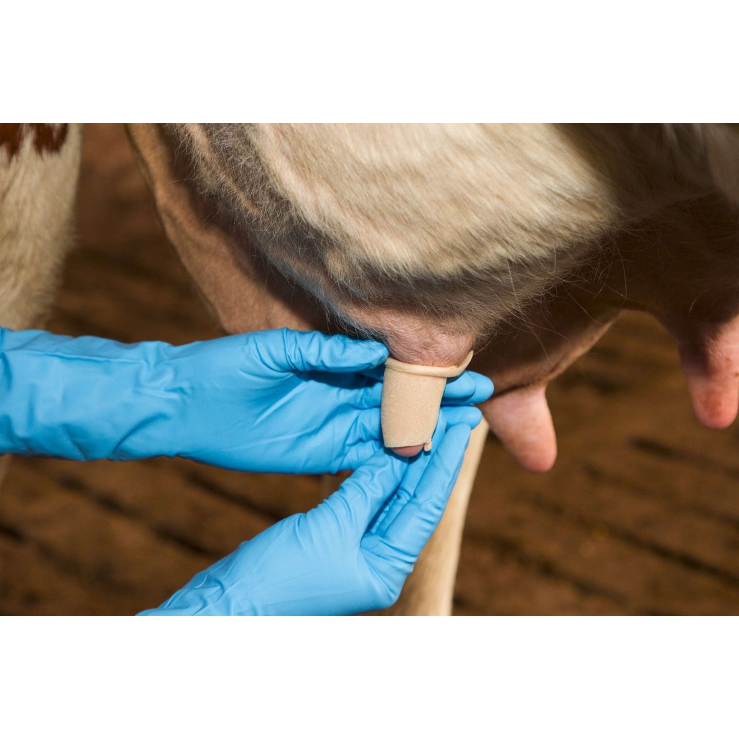 Kerbl Teat Bandage Udderosoft