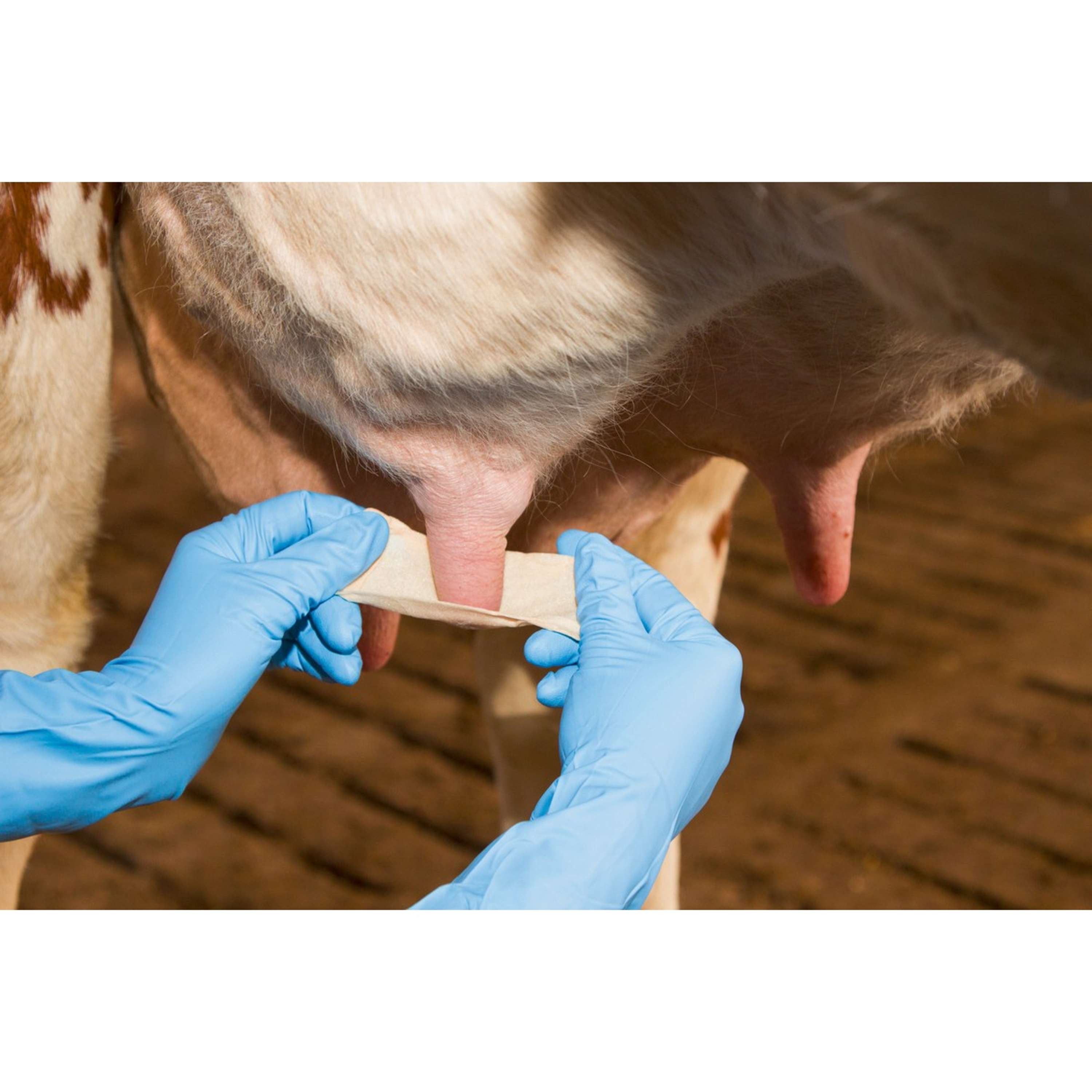 Kerbl Teat Bandage Udderosoft