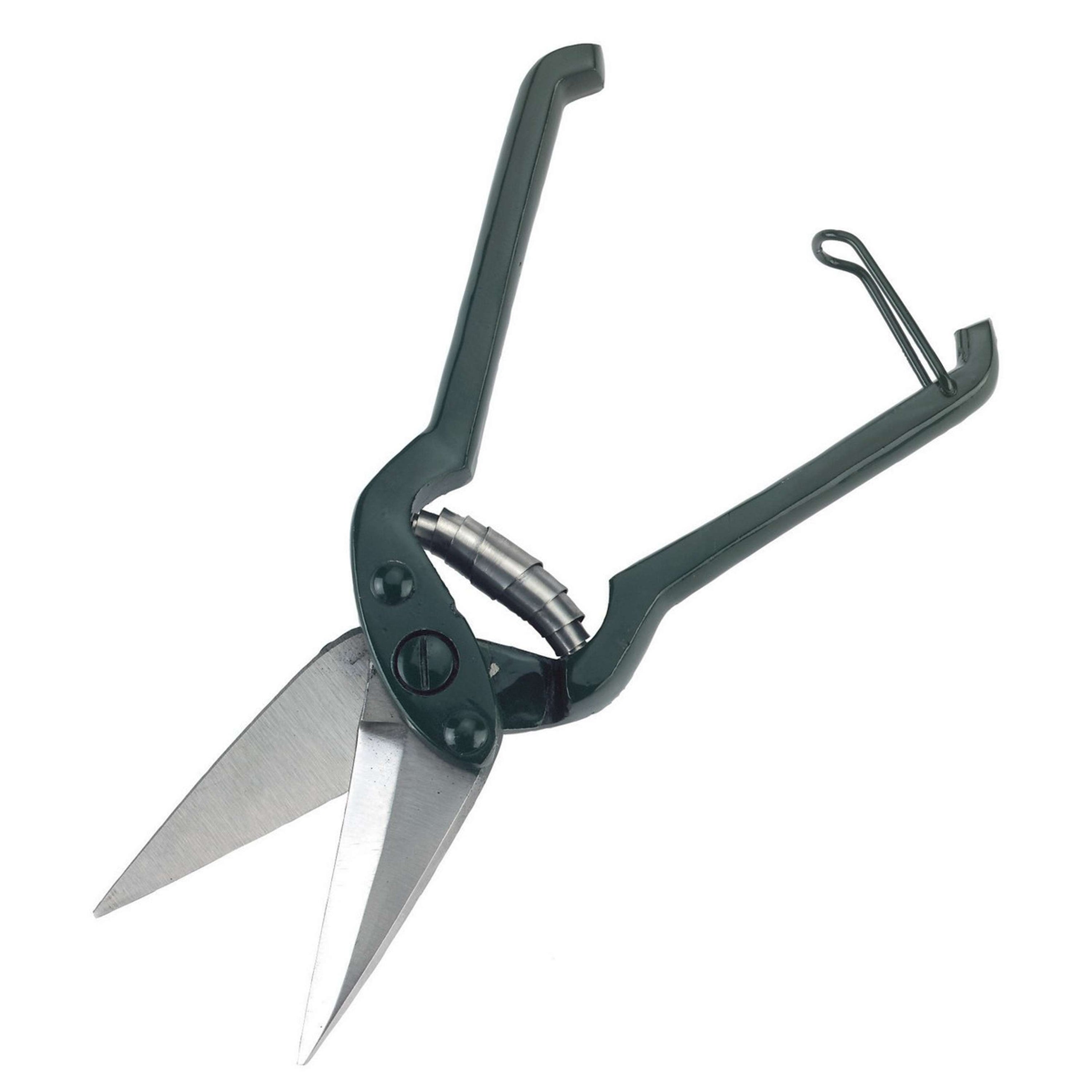 Kerbl Foot-rot Shears Green